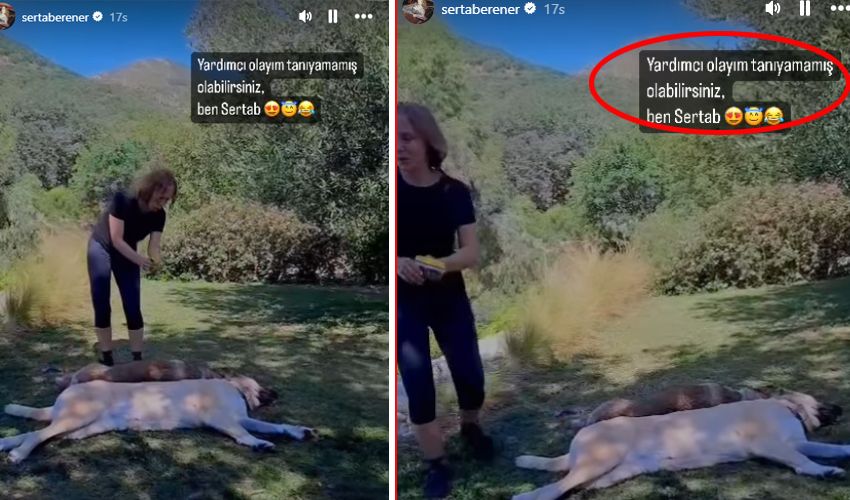 Sertab Erener’den ‘estetik’ göndermesi: Tanıyamamış olabilirsiniz - 3. Resim