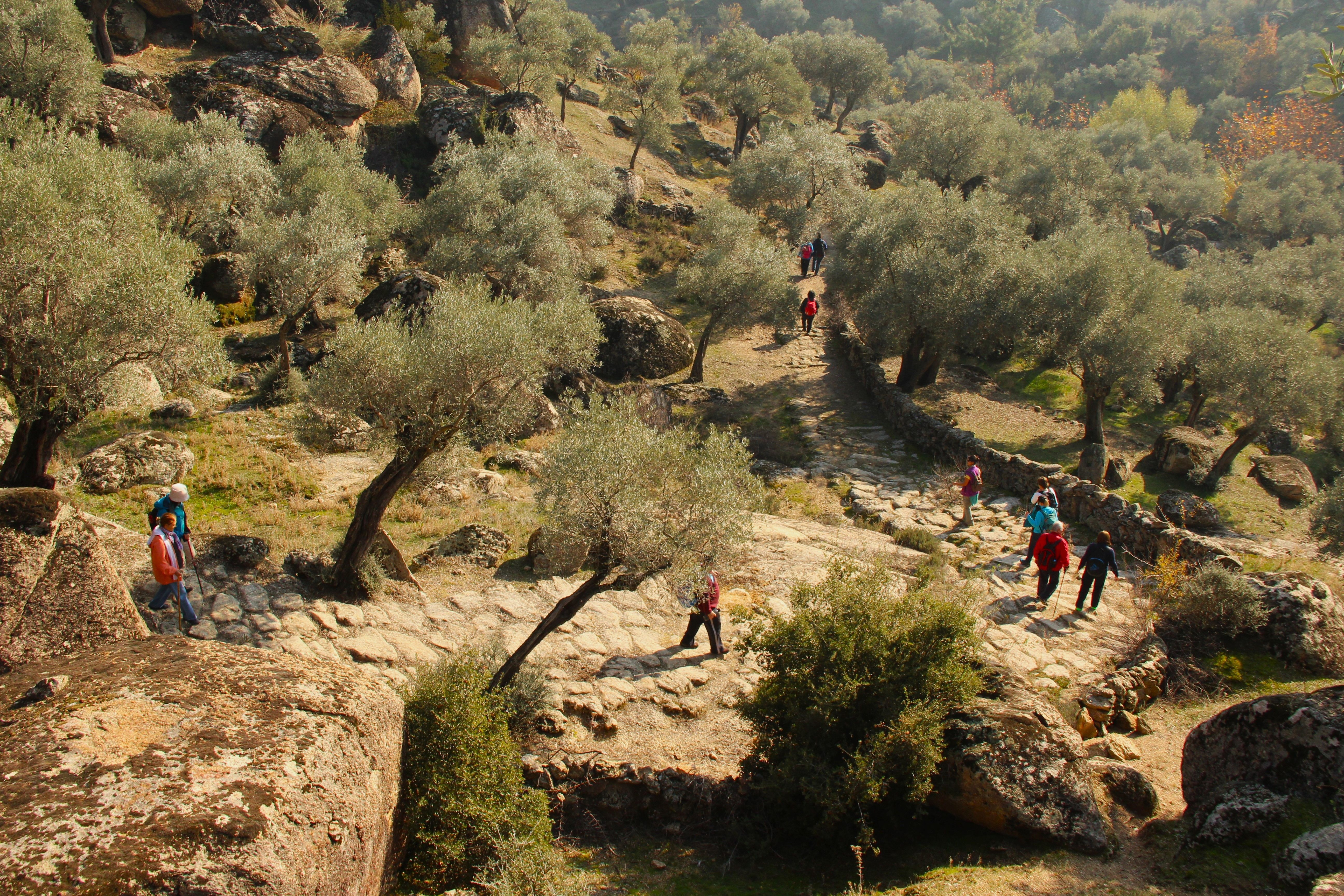 2500 yıllık antik yola beton! Skandal görüntüler sonrası karar çıktı - 2. Resim