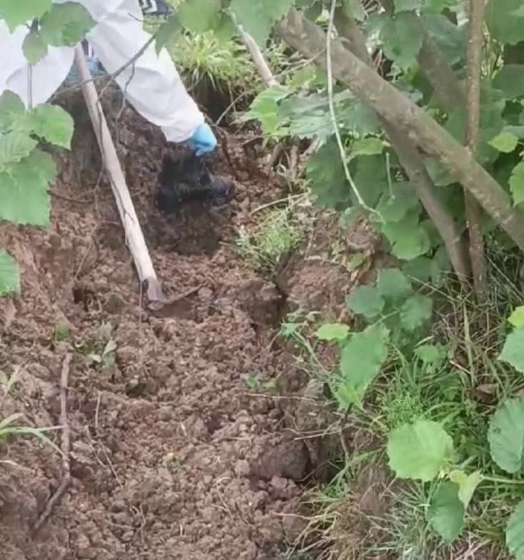 Film sahnesi değil tasarlanmış cinayet! Müşteri gibi taksiye binip öldürmüşler - 1. Resim