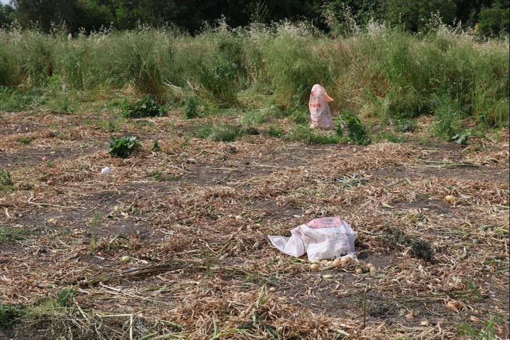 Son kurban Şerife nine oldu! Dehşet durdurulamadan yayılıyor - 3. Resim