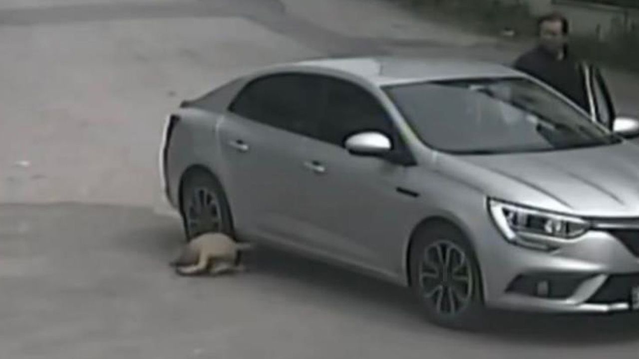 Sakarya'da insanlıktan utandıran g&ouml;r&uuml;nt&uuml;ler! - 2. Resim