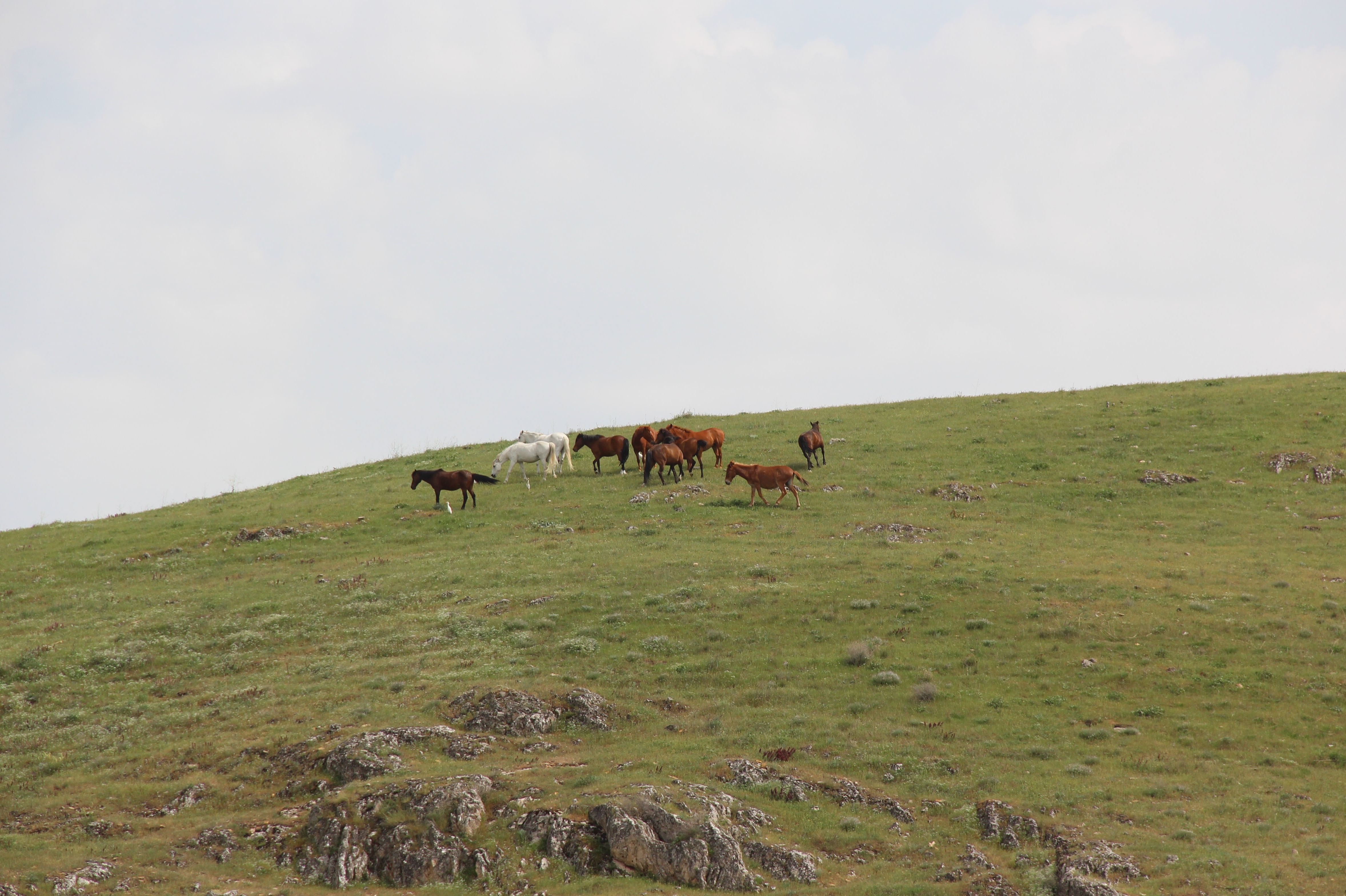 Keban Baraj Gölünde bir ilk! 9 saat boyunca yol kat ettiler - 4. Resim