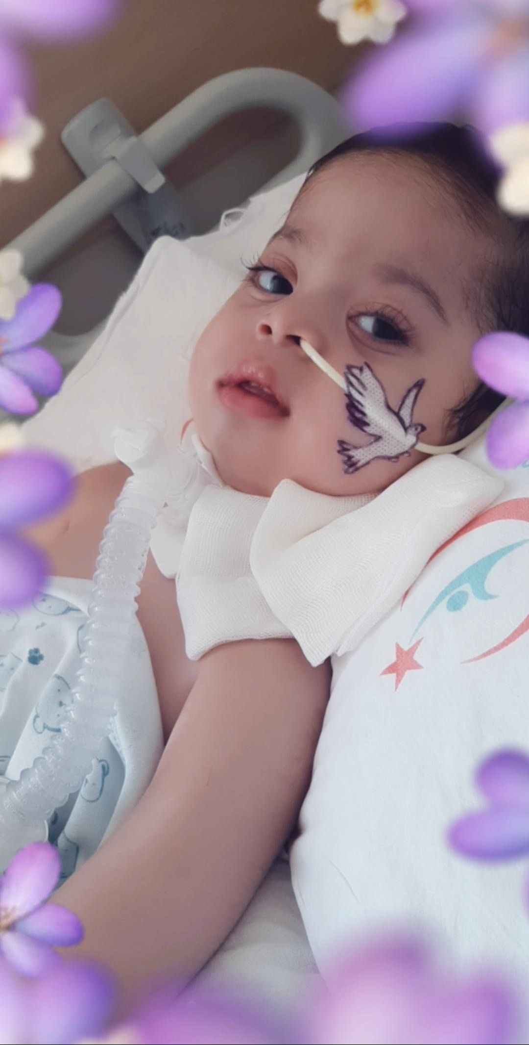 Para uğruna bunu da yaptılar! Kalp rahatsızlığından ölen oğlunu kız gibi gösterip insanları dolandırdı Para uğruna bunu da yaptılar! Kalp rahatsızlığından ölen oğlunu kız gibi gösterip insanları dolandırdı - 1. Resim