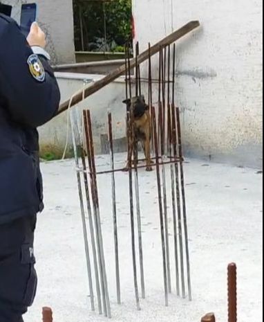 Sokak köpekleri Bursa'da dehşet saçtı! 3 köpek 3 çocuğa saldırdı, yaralılar var - 3. Resim