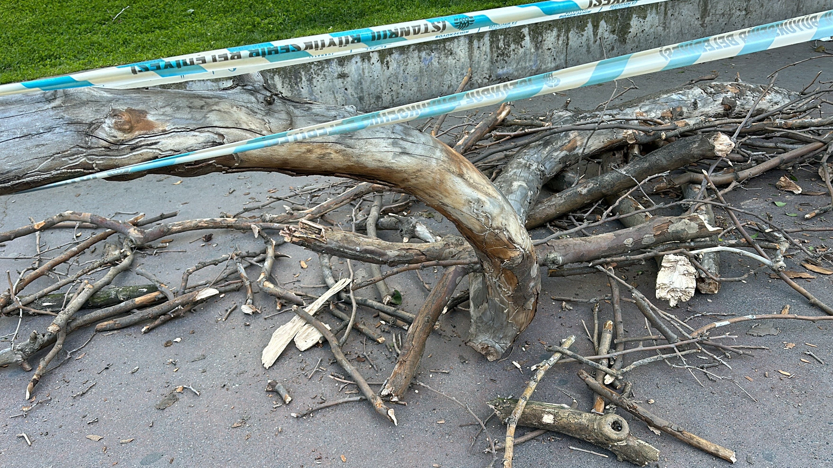 Adres: Gezi Parkı... Kadının başına gelene duyanlar inanamadı, sebebi ise şaşırttı - 2. Resim