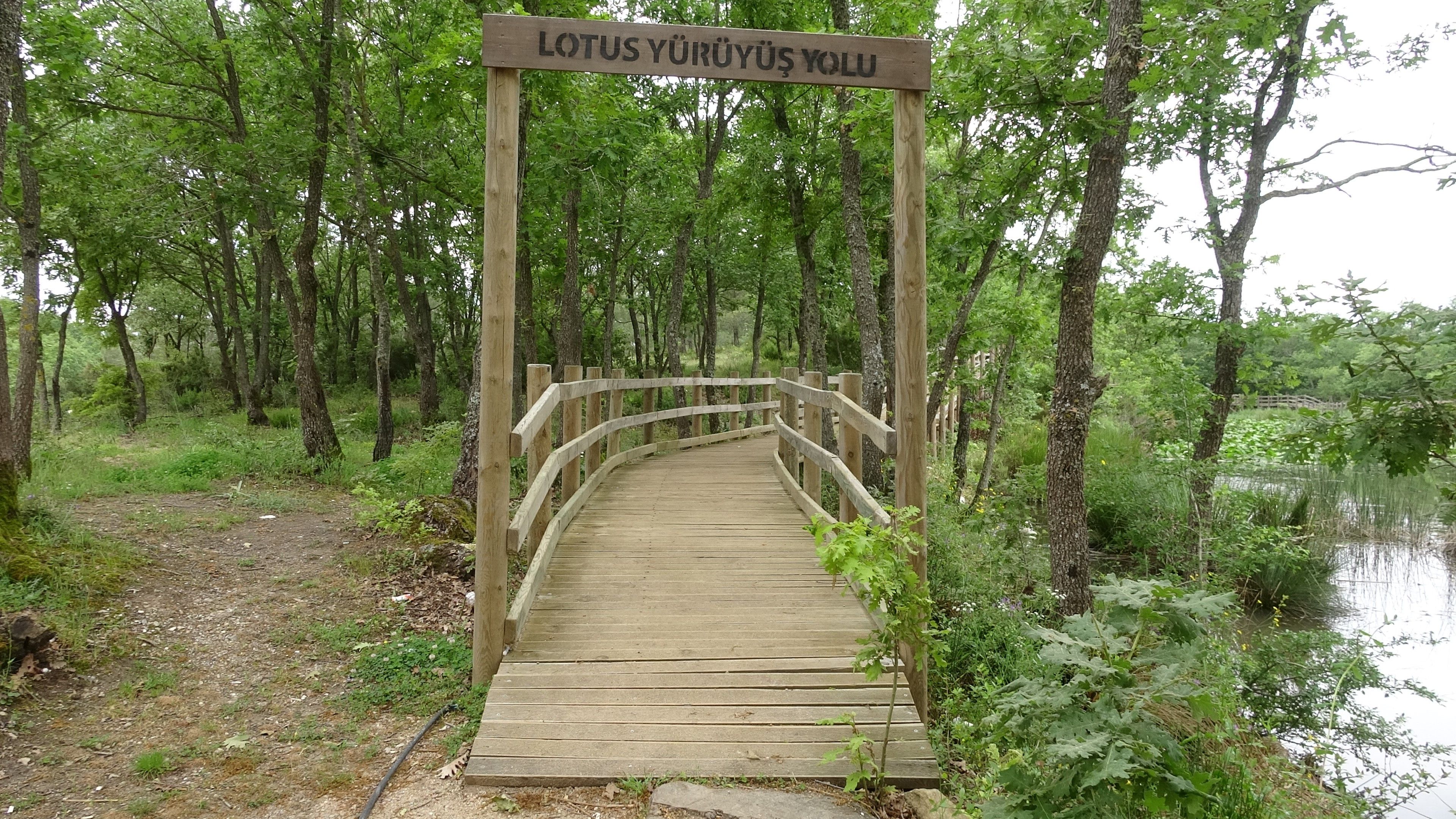 Dokunan yanar! Bu çiçeği koparmanın cezası cep yakıyor - 5. Resim