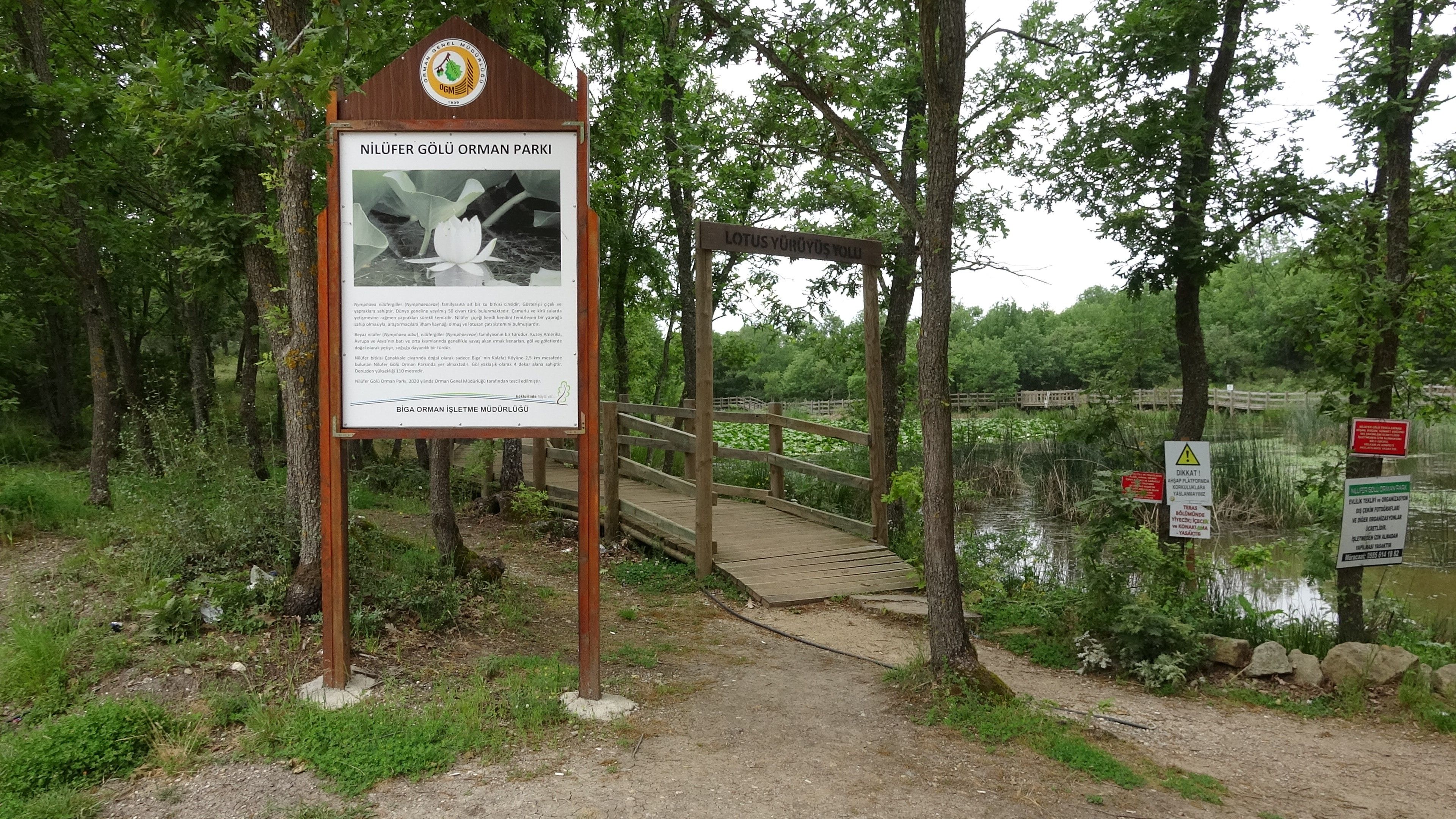 Dokunan yanar! Bu çiçeği koparmanın cezası cep yakıyor - 4. Resim