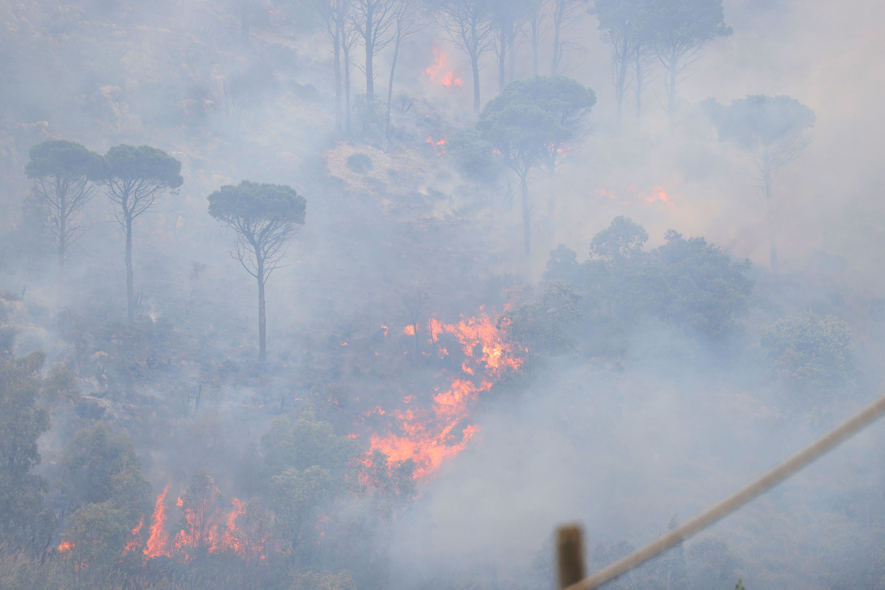 İtalya'nın Sicilya Adası’nda orman yangını İtalya'nın Sicilya Adası’nda orman yangını - 1. Resim