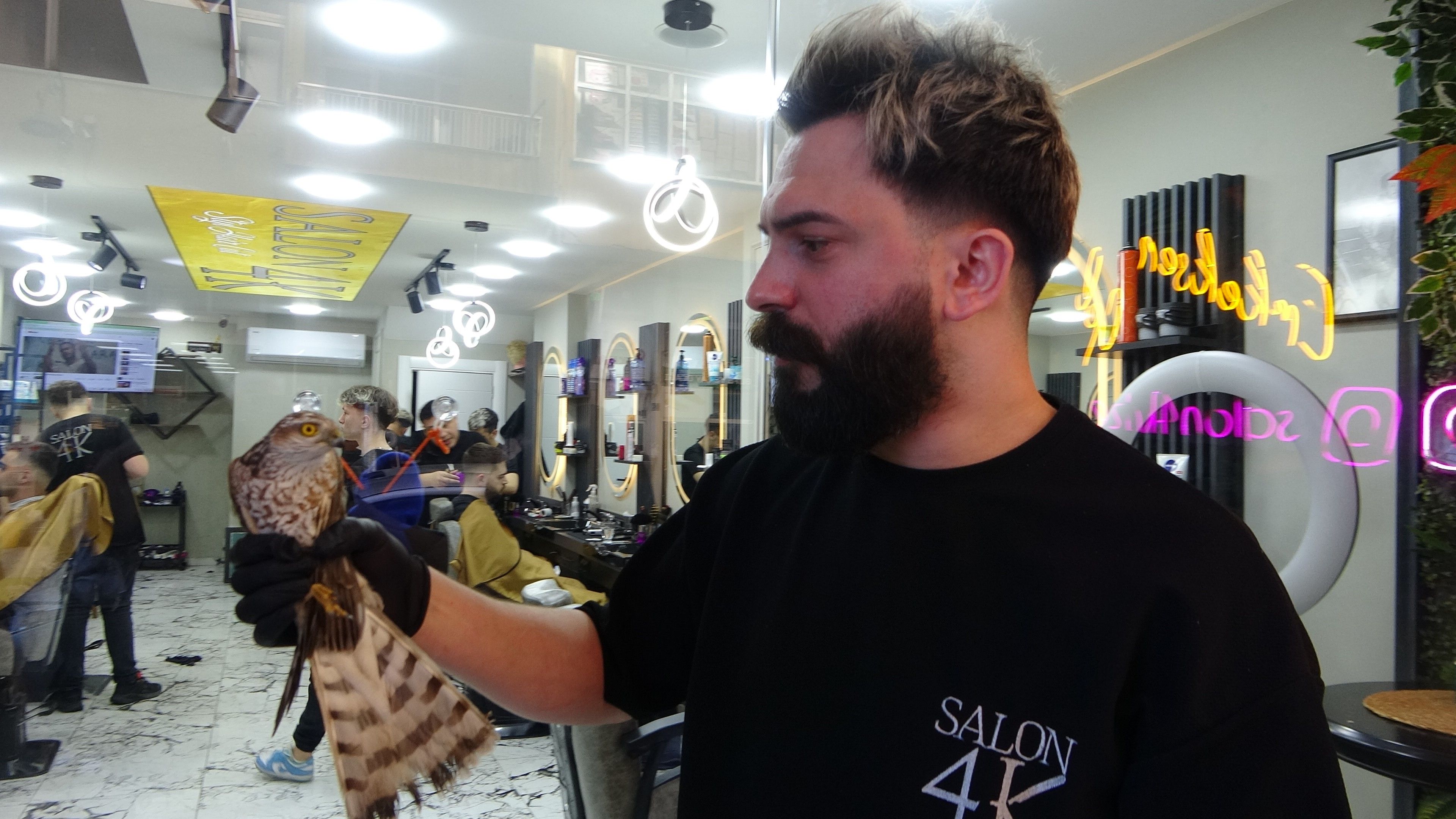 Ava giderken avlandı! Yavru atmaca kuaföre çarptı, dükkanın maskotu oldu - 2. Resim