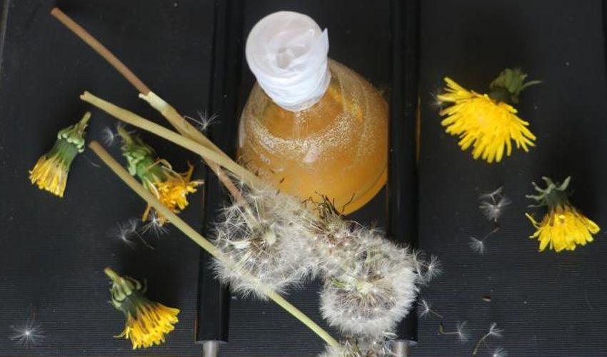 Güçlü kemiklere doğal reçete! ‘Halk ilacı’ olarak biliniyor, faydaları say say bitmiyor - 2. Resim