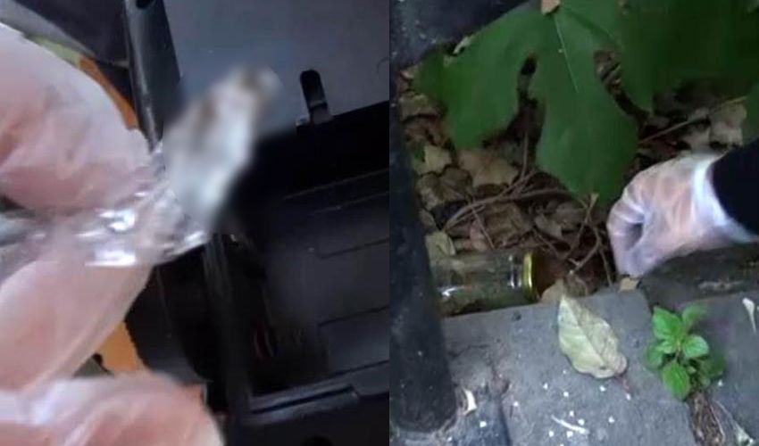 Uyuşturucu operasyonunda gözaltına alınan Kalben serbest bırakıldı - 3. Resim