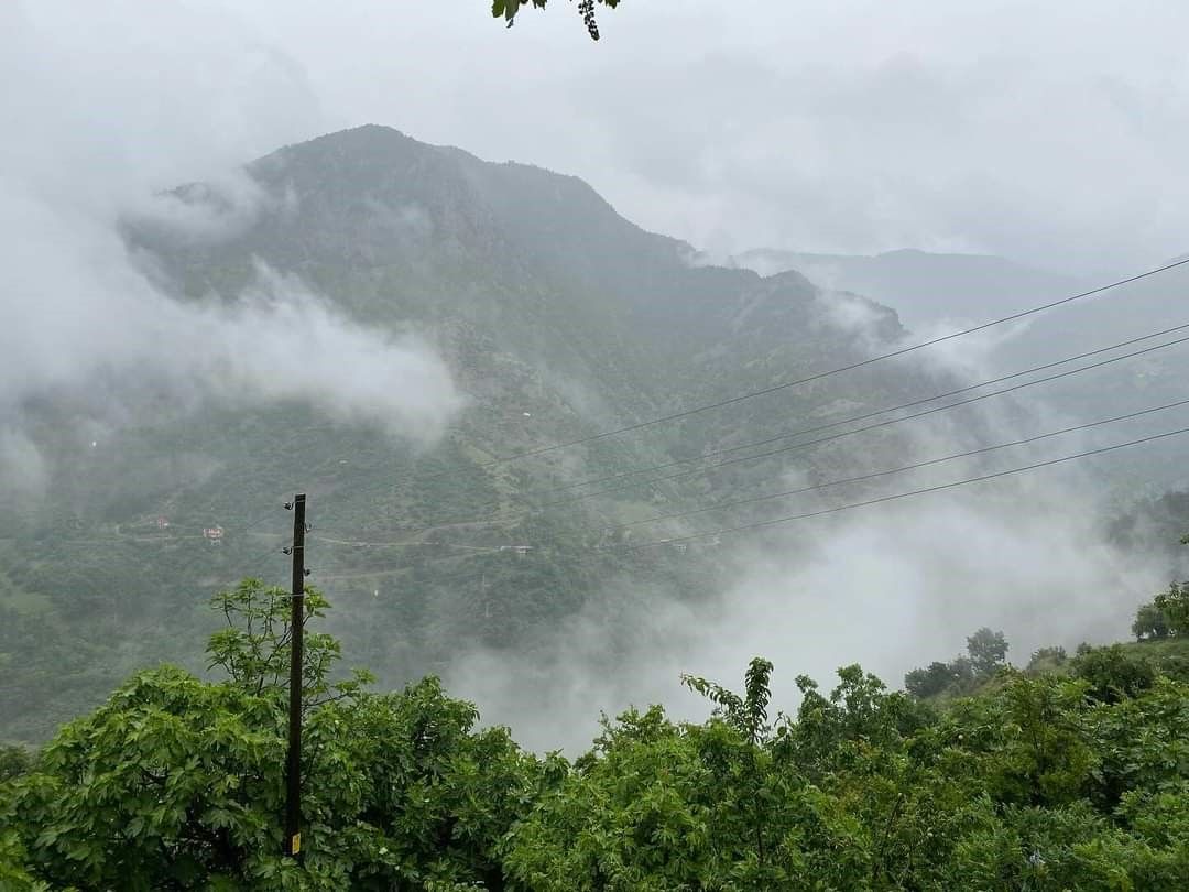 Sis çöktü, kartpostallık görüntüler çıktı Sis çöktü, kartpostallık görüntüler çıktı - 2. Resim