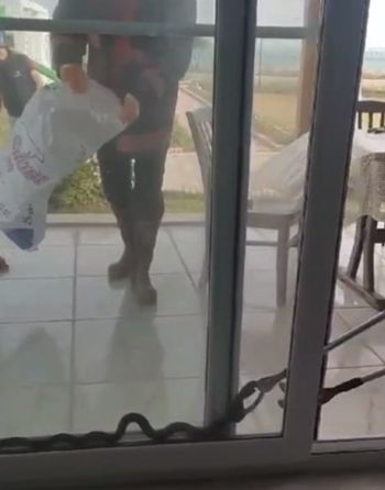 Yılan bir anda karşılarına çıktı! Ev sahiplerinin büyük korku ve panik anları Yılan bir anda karşılarına çıktı! Ev sahiplerinin büyük korku ve panik anları - 1. Resim