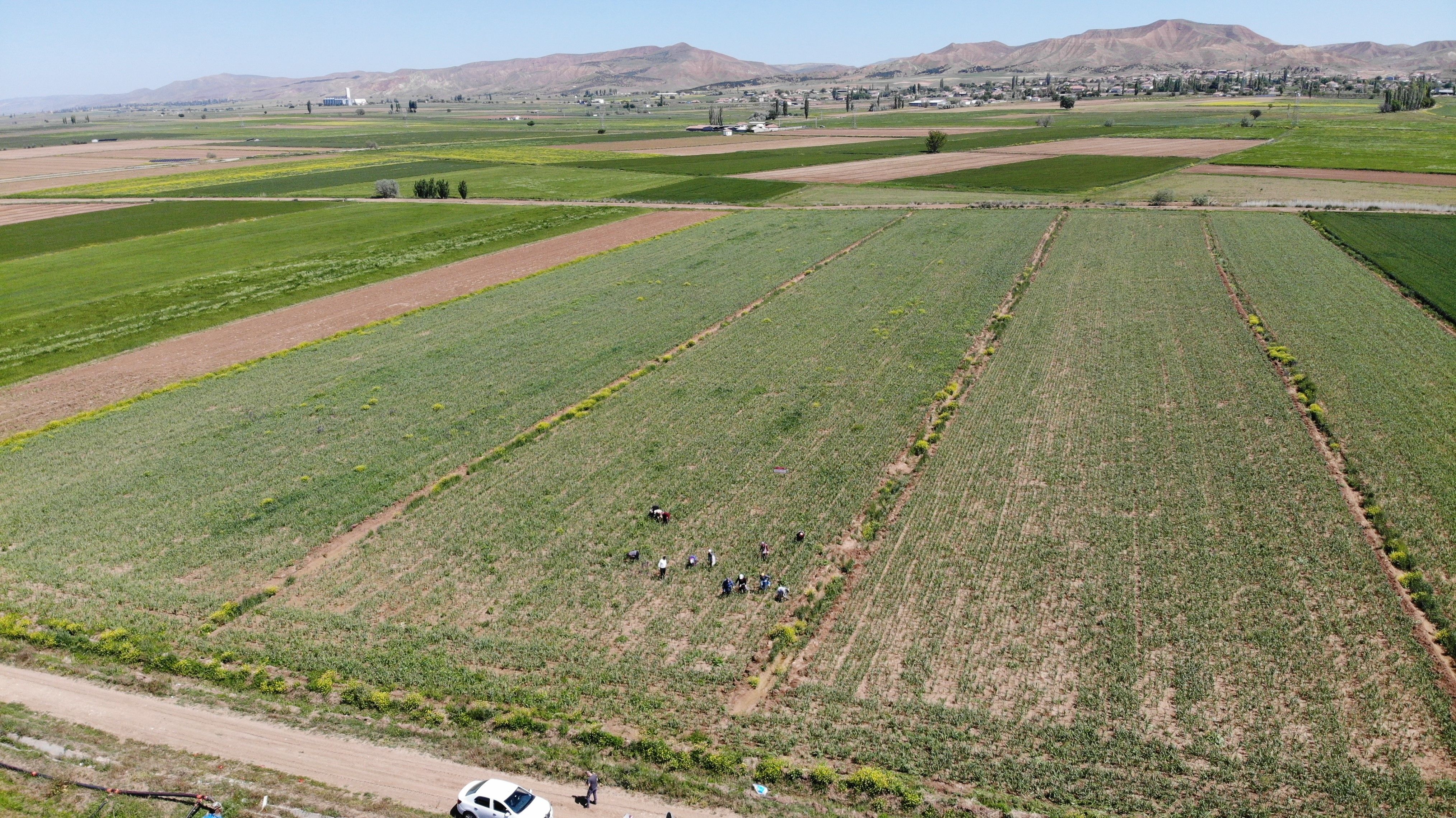 Rusya ve Almanya'nın sağlığı Aksaray'a emanet: İlk 10'da yer alan şifa Rusya ve Almanya'nın sağlığı Aksaray'a emanet: İlk 10'da yer alan şifa - 2. Resim