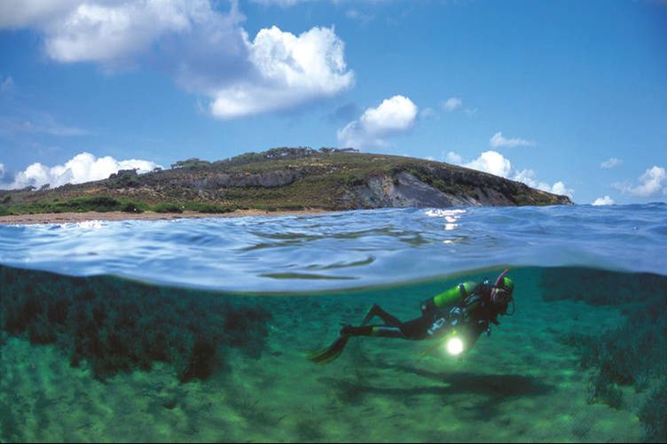 Ayvalık'ta nesli tehlike altındaki kırmızı mercanlar göz kamaştırıyor! Nesli tehlike altındaki Ayvalık'ın kırmızı mercanları görüntülendi! - 1. Resim
