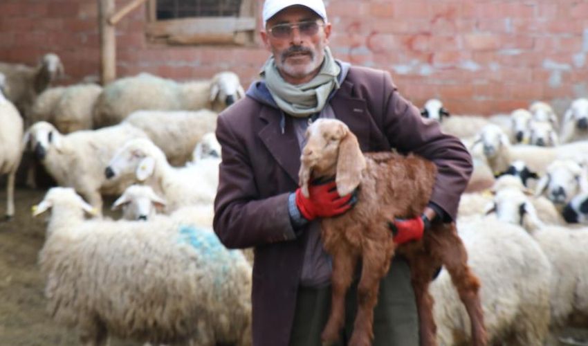 Seçimi kaybeden fenomen muhtar Gönül Dağı’nda oynadı! Okuduğu şiirle duygulandırdı Seçimi kaybeden fenomen muhtar Gönül Dağı’nda oynadı! Okuduğu şiirle duygulandırdı - 1. Resim