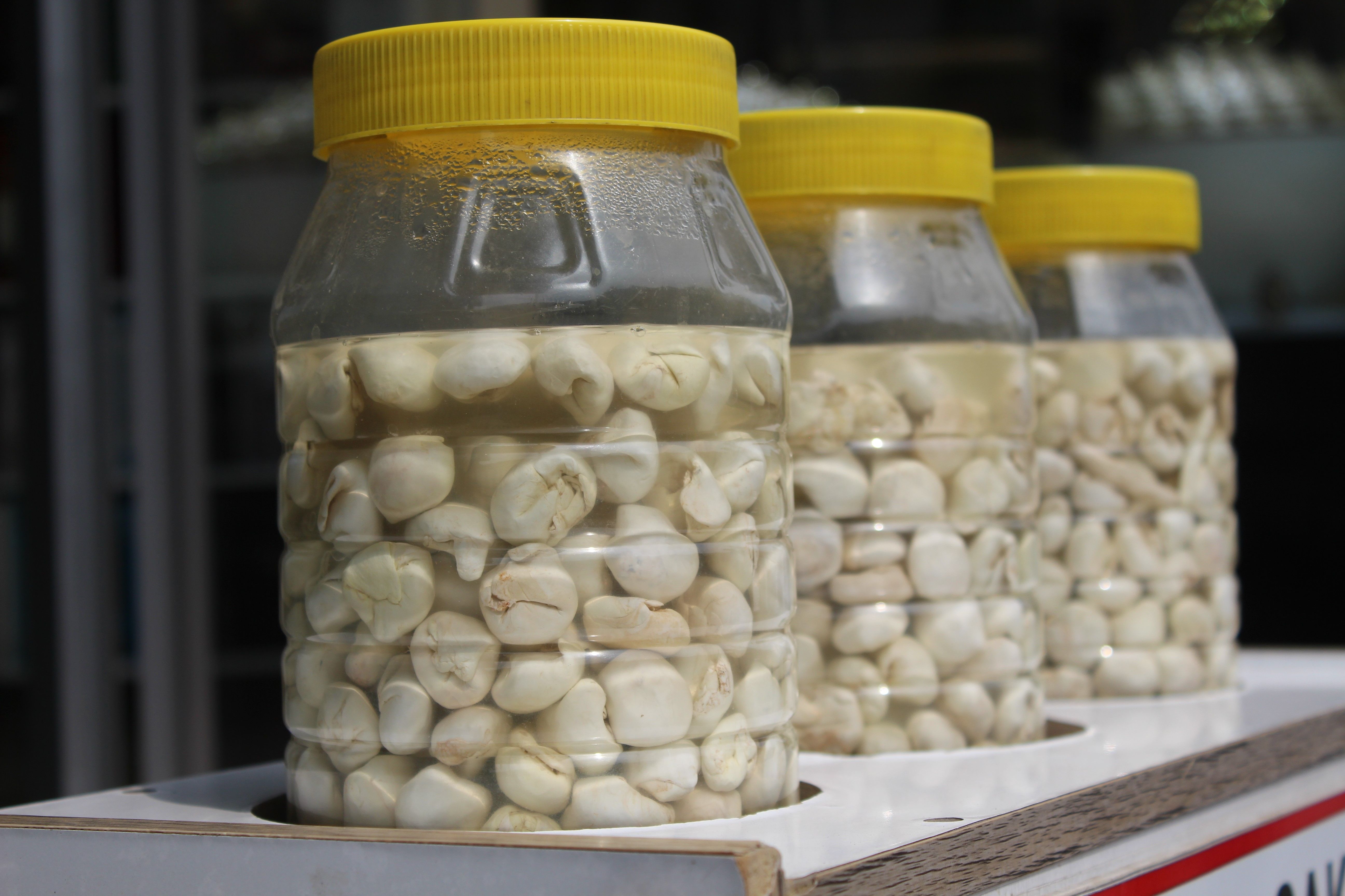 Altından değerli sakız! Fiyatı dudak uçuklatıyor, yarım altına kafa tutuyor - 2. Resim