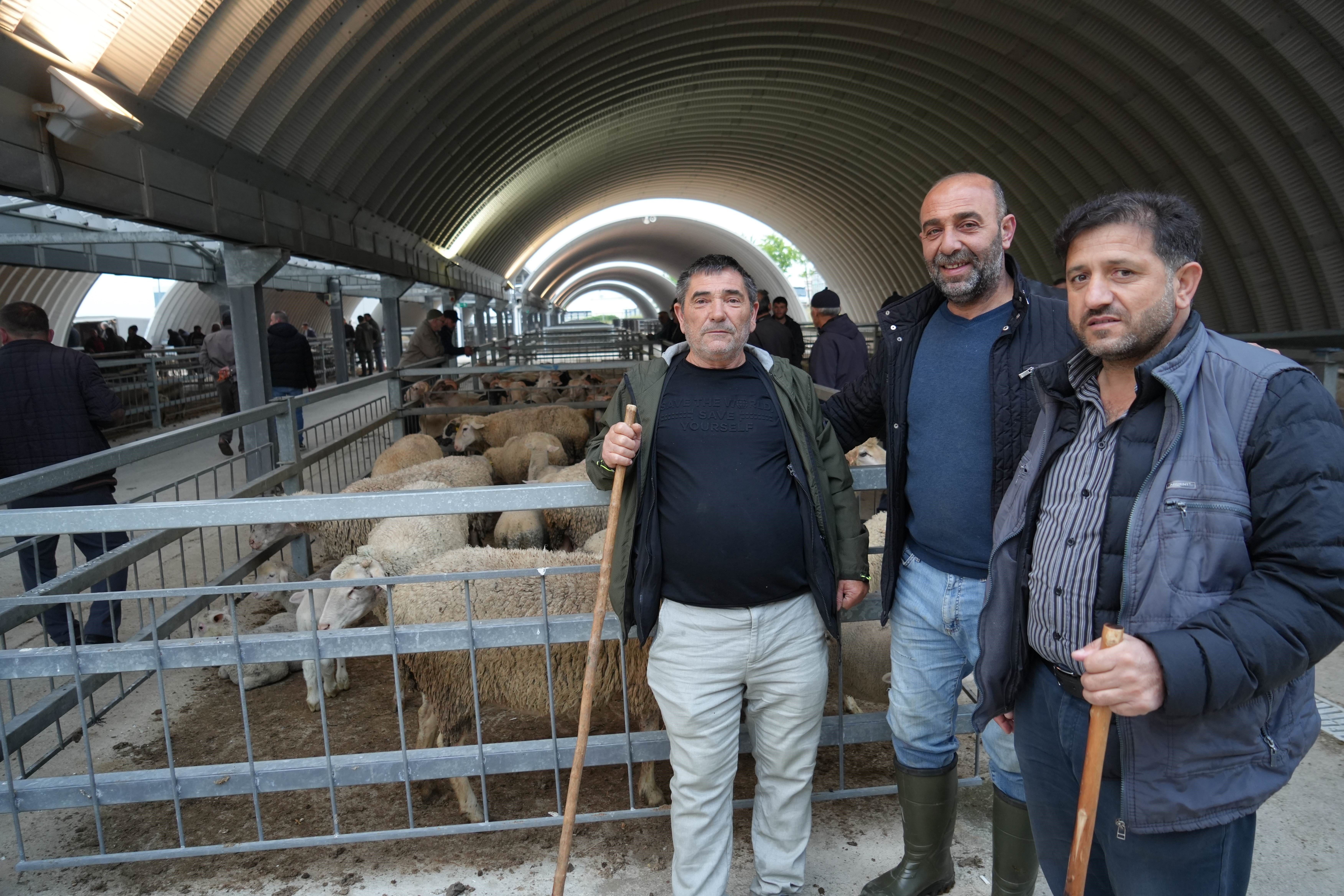 Bayrama sayılı günler kaldı! İşte küçükbaş ve büyükbaş kurbanlık fiyatları... Bayrama sayılı günler kaldı! İşte küçükbaş ve büyükbaş kurbanlık fiyatları... - 3. Resim