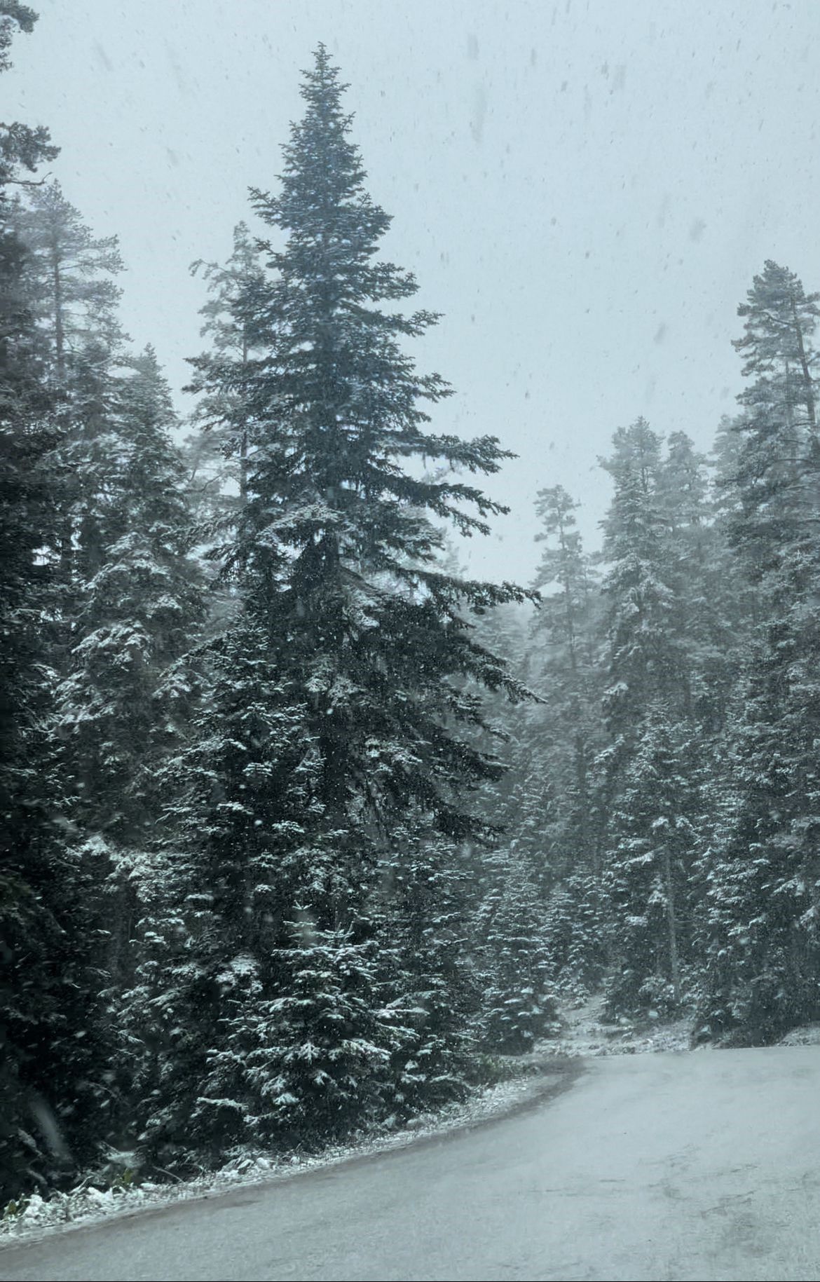 Yazı beklerken kış geldi: Mayıs ayında kar manzaraları! - 5. Resim