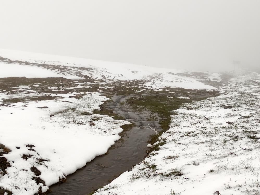 Mayıs ayında karlı sabaha uyandılar! Her yer bembeyaz oldu - 3. Resim