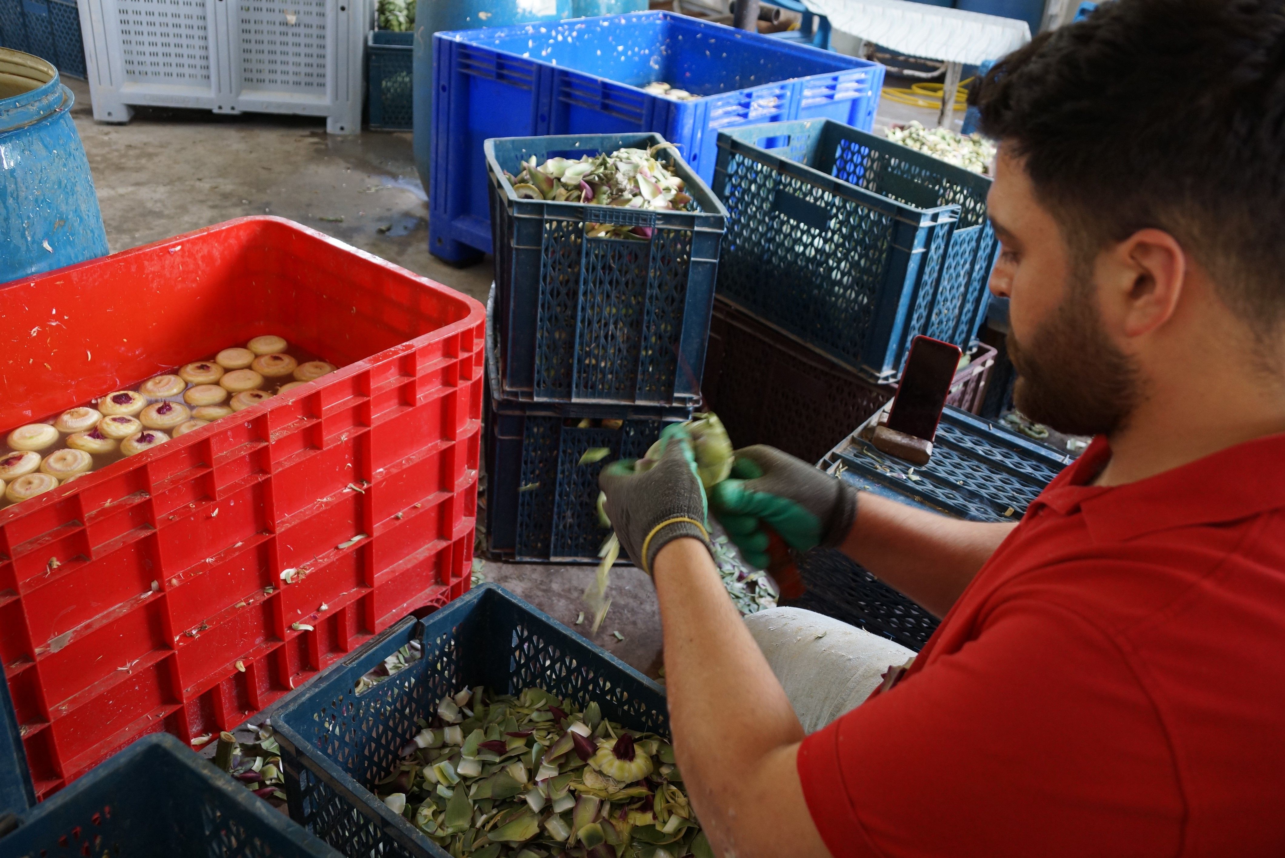 Yer: Aydın... Dört dörtlük iş! Dakikada 4 tane yapılıyor, asgari ücretin 4 katını kazandırıyor - 2. Resim