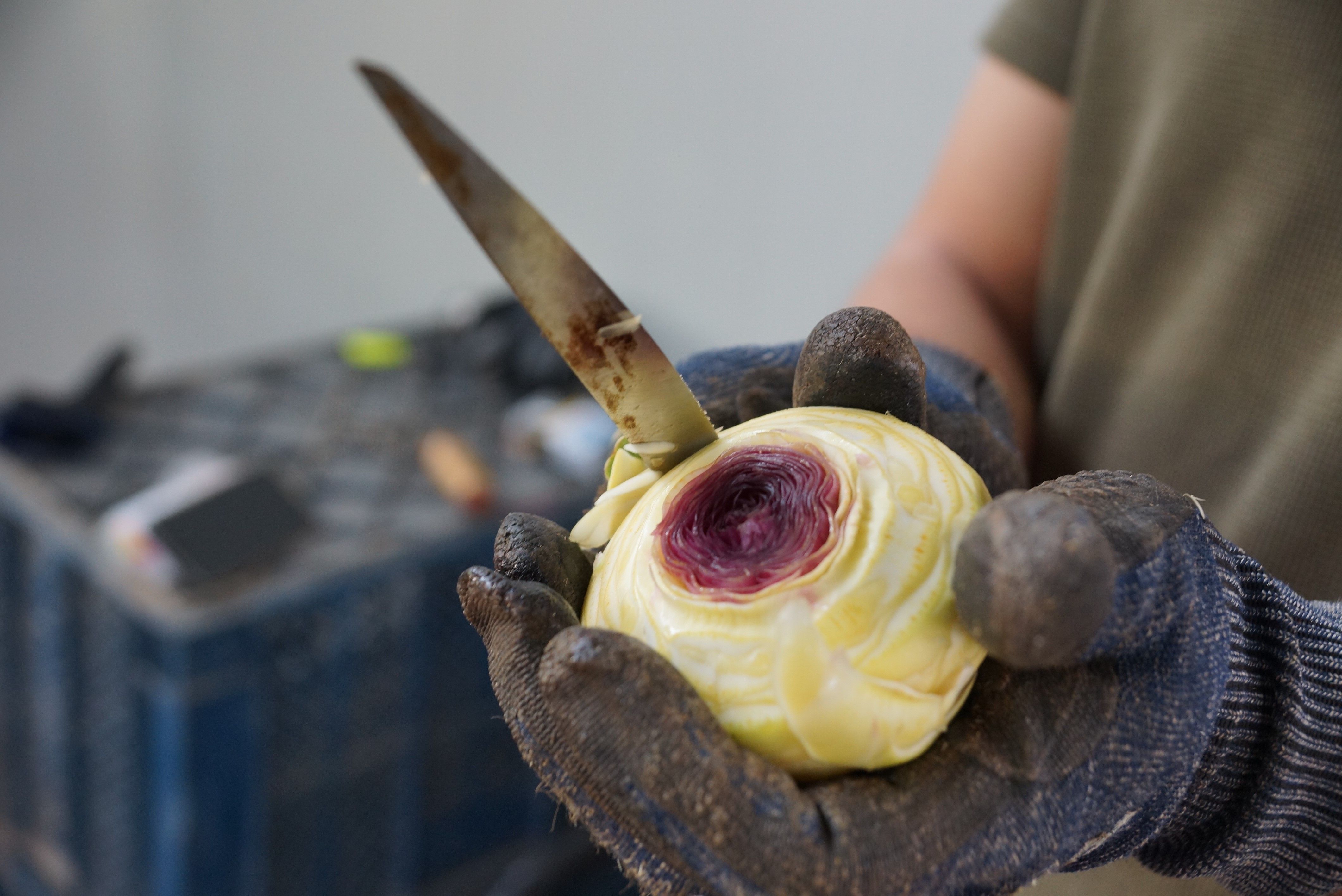 Yer: Aydın... Dört dörtlük iş! Dakikada 4 tane yapılıyor, asgari ücretin 4 katını kazandırıyor - 3. Resim