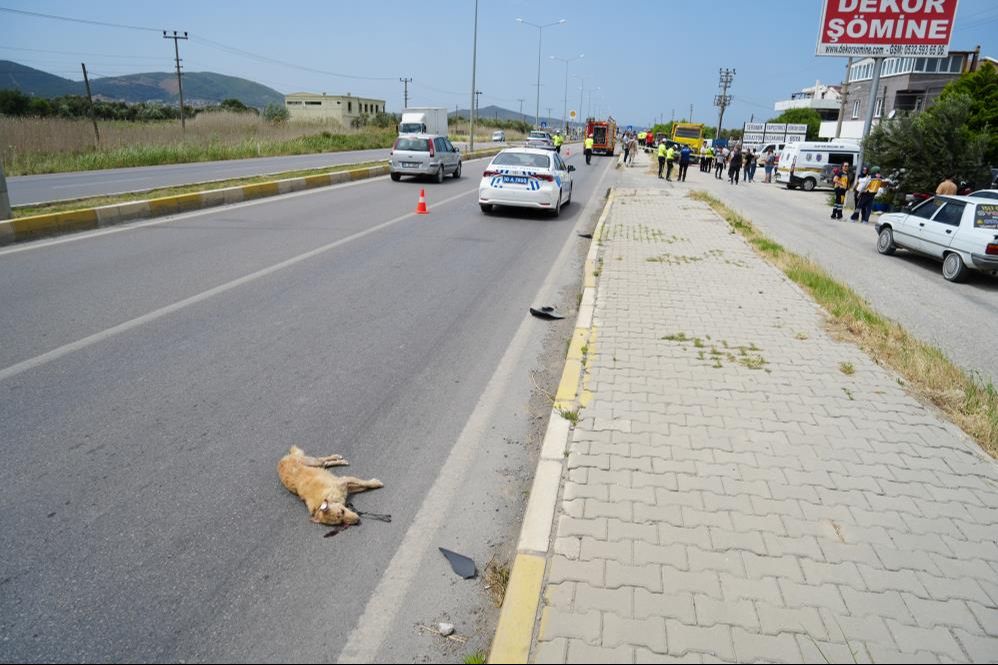 Balıkesir'de köpeğe çarpmamak için yaptığı manevra yüzünden 3 kişi öldü - 2. Resim