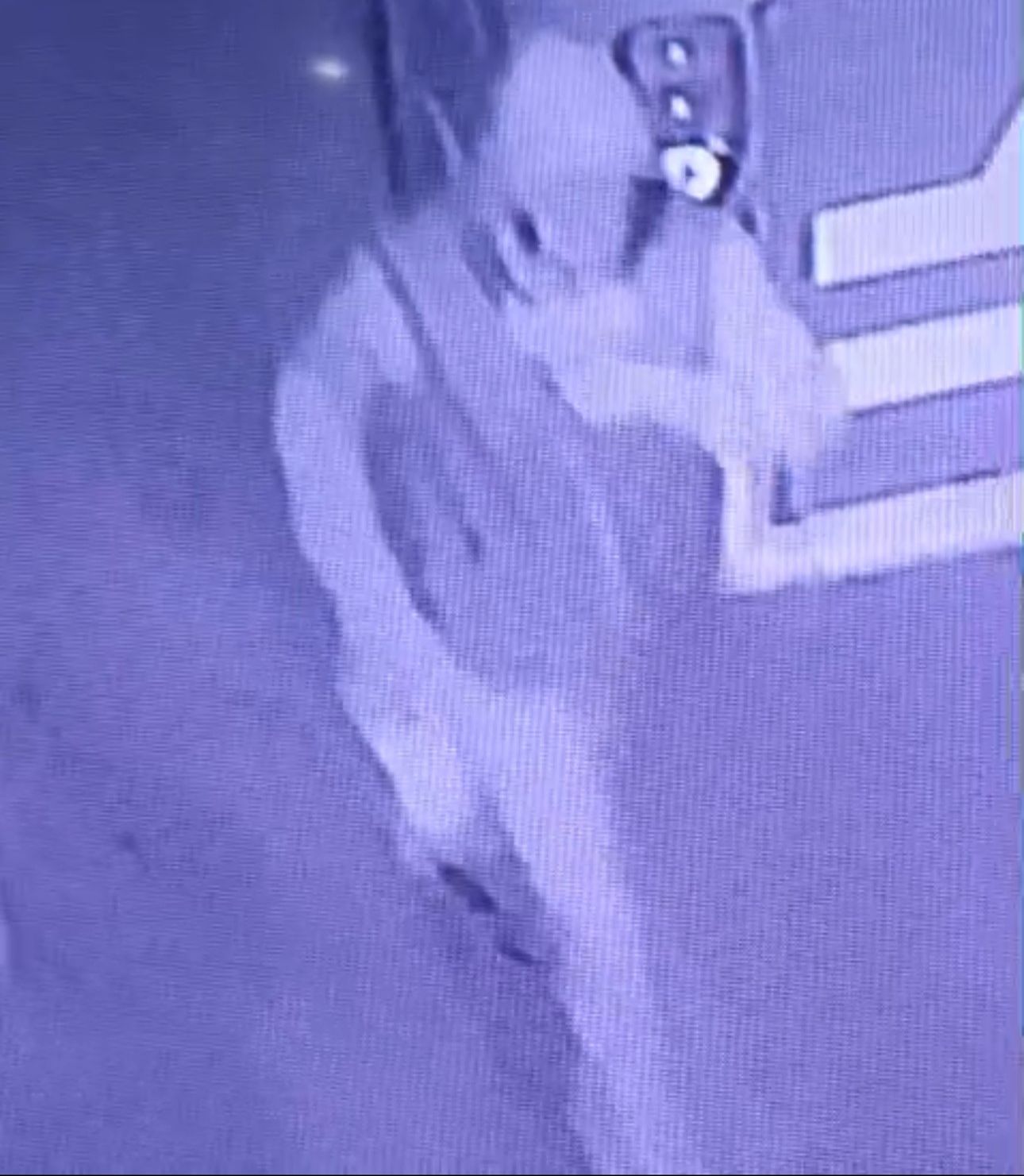 Bursa'da SMA hastası Ravza Akkum bebeğin yardım kumbaralarını çaldılar Bursa'da SMA hastası Ravza Akkum bebeğin yardım kumbaralarını çaldılar - 5. Resim