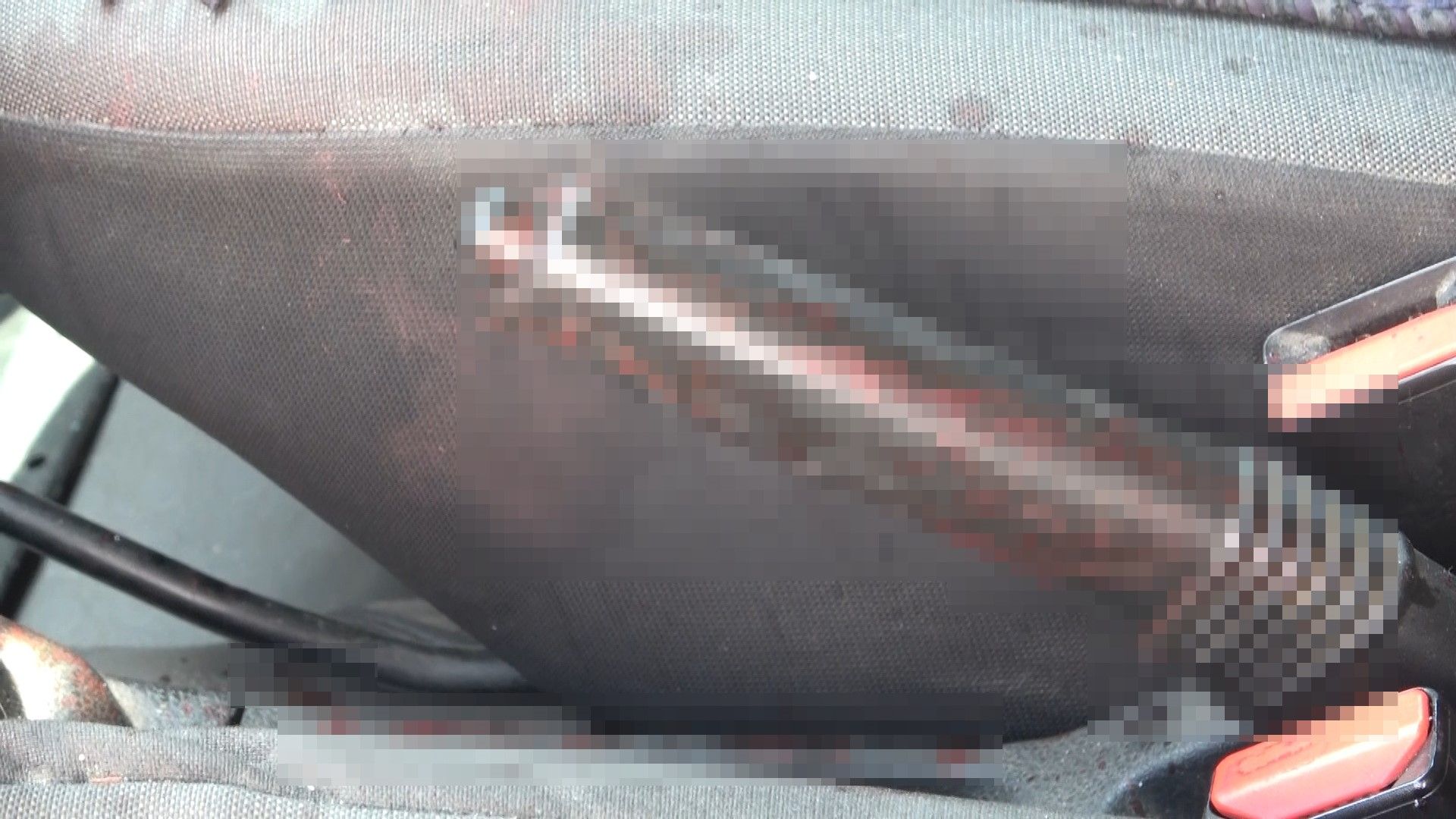 Günün en korkunç haberi! Kanlar içerisinde bulundu, hayatını bir 'piknik' kurtardı - 1. Resim