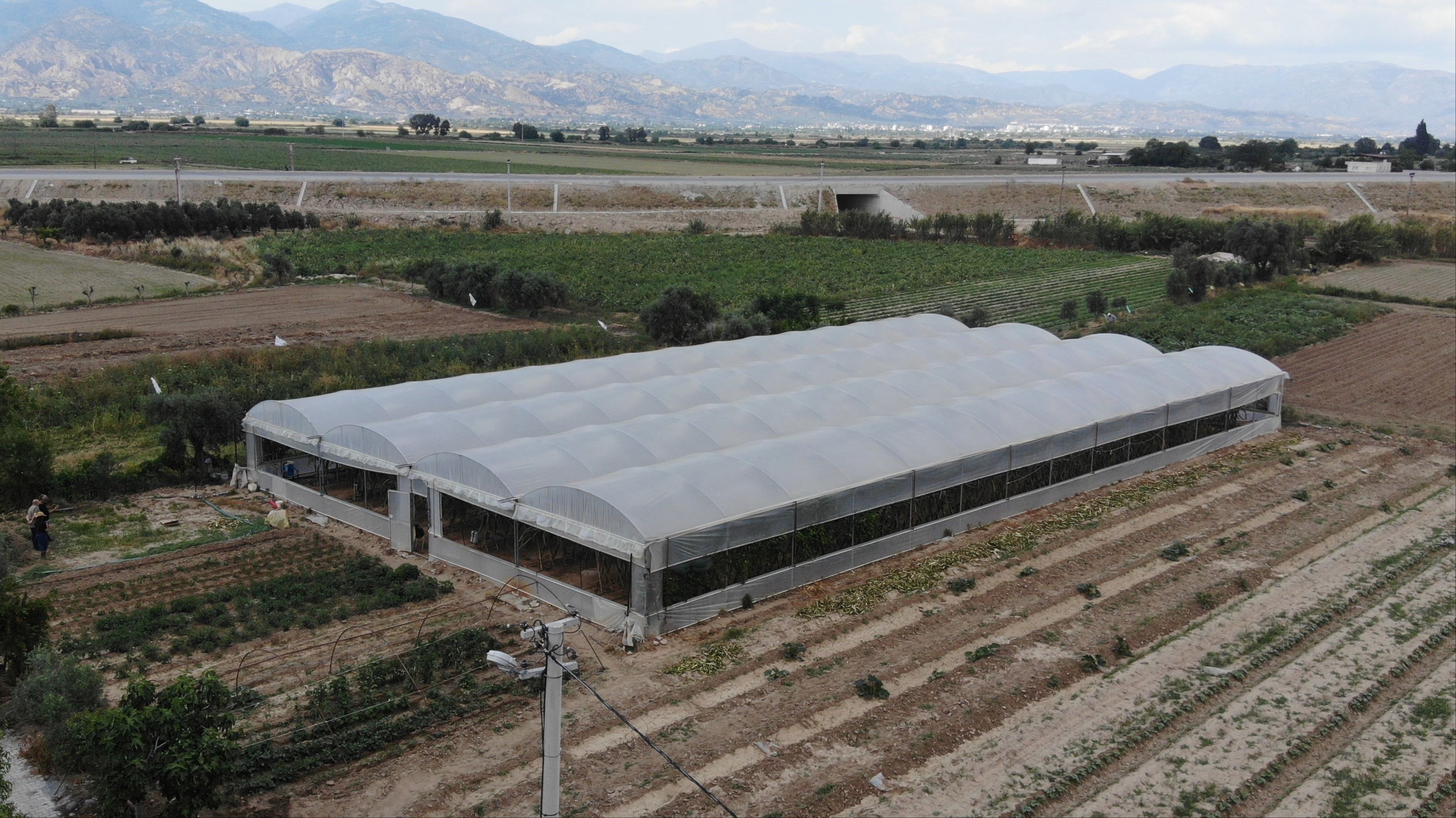 Kadınlara çiftçiliği tavsiye ediyor! Plazadan kaçan Vildan Uğurlu 500 ton meyve üretecek - 2. Resim