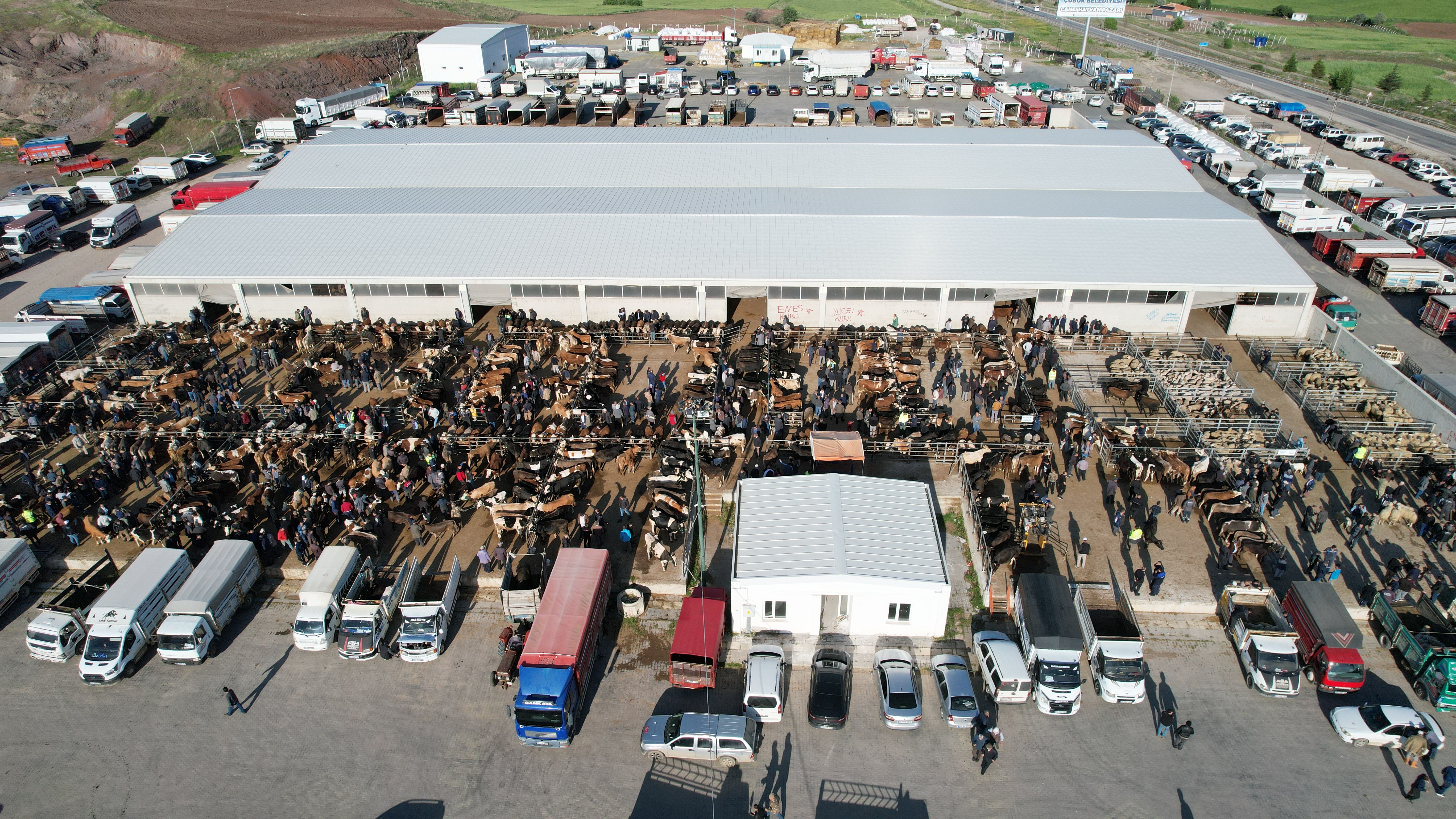Kurban bayramı öncesinde büyükbaş ve küçükbaş kurbanlıkların fiyatları belli oldu - 1. Resim