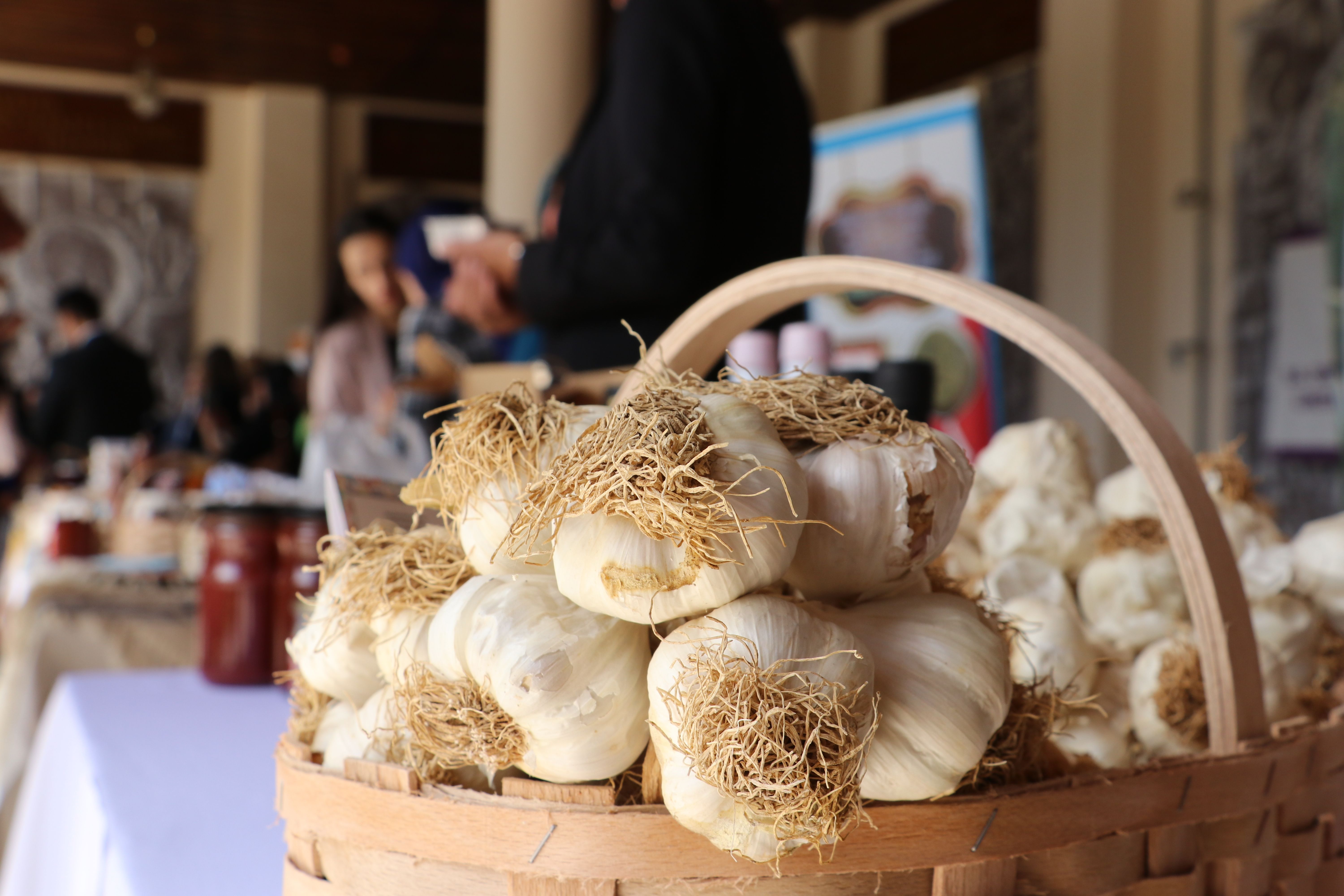 Türkiye'den dünyaya 81 ilden damak çatlatan lezzetler! Türk Mutfağı Haftası işte böyle kutlandı Türkiye'den dünyaya!