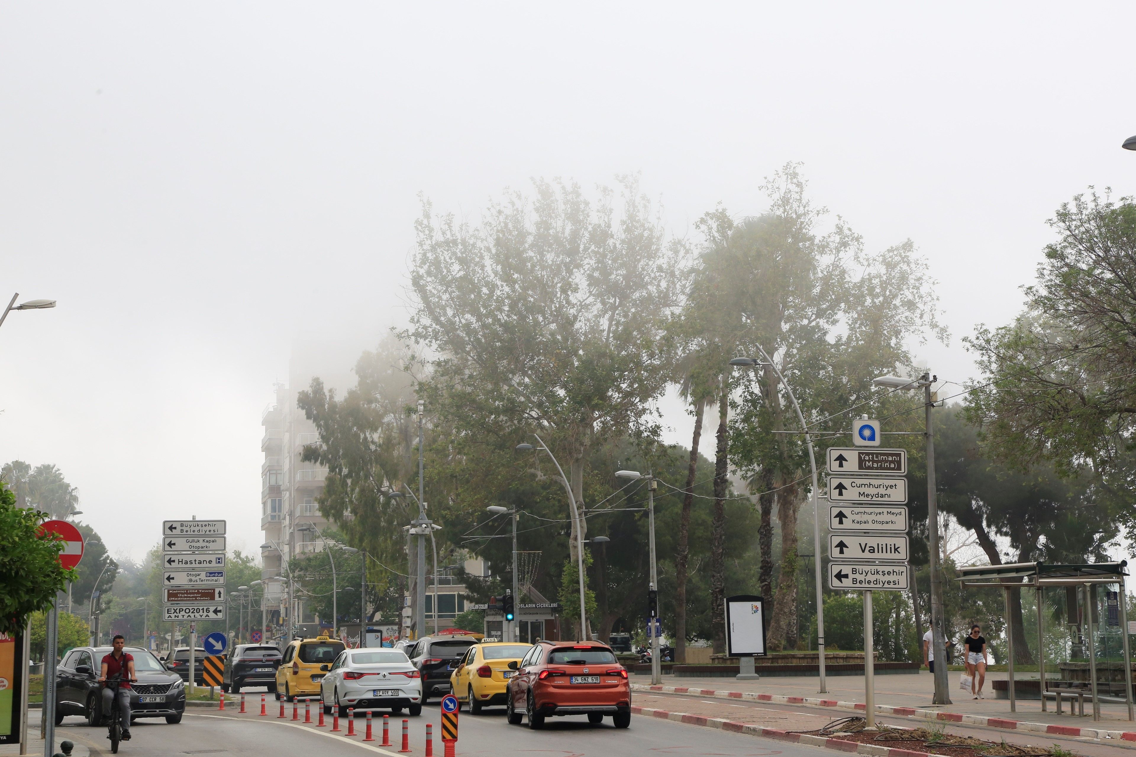 Antalya'da yıllardır görülmemiş anlar! Neye uğradığını şaşırıp telefonlarına sarıldılar - 3. Resim