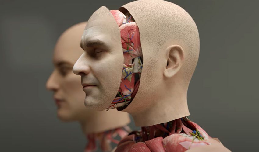 Dünyanın ilk ‘kafa nakli sistemi’ yankı uyandırdı! Tarihi duyuruldu, nasıl yapılacağı açıklandı - 2. Resim