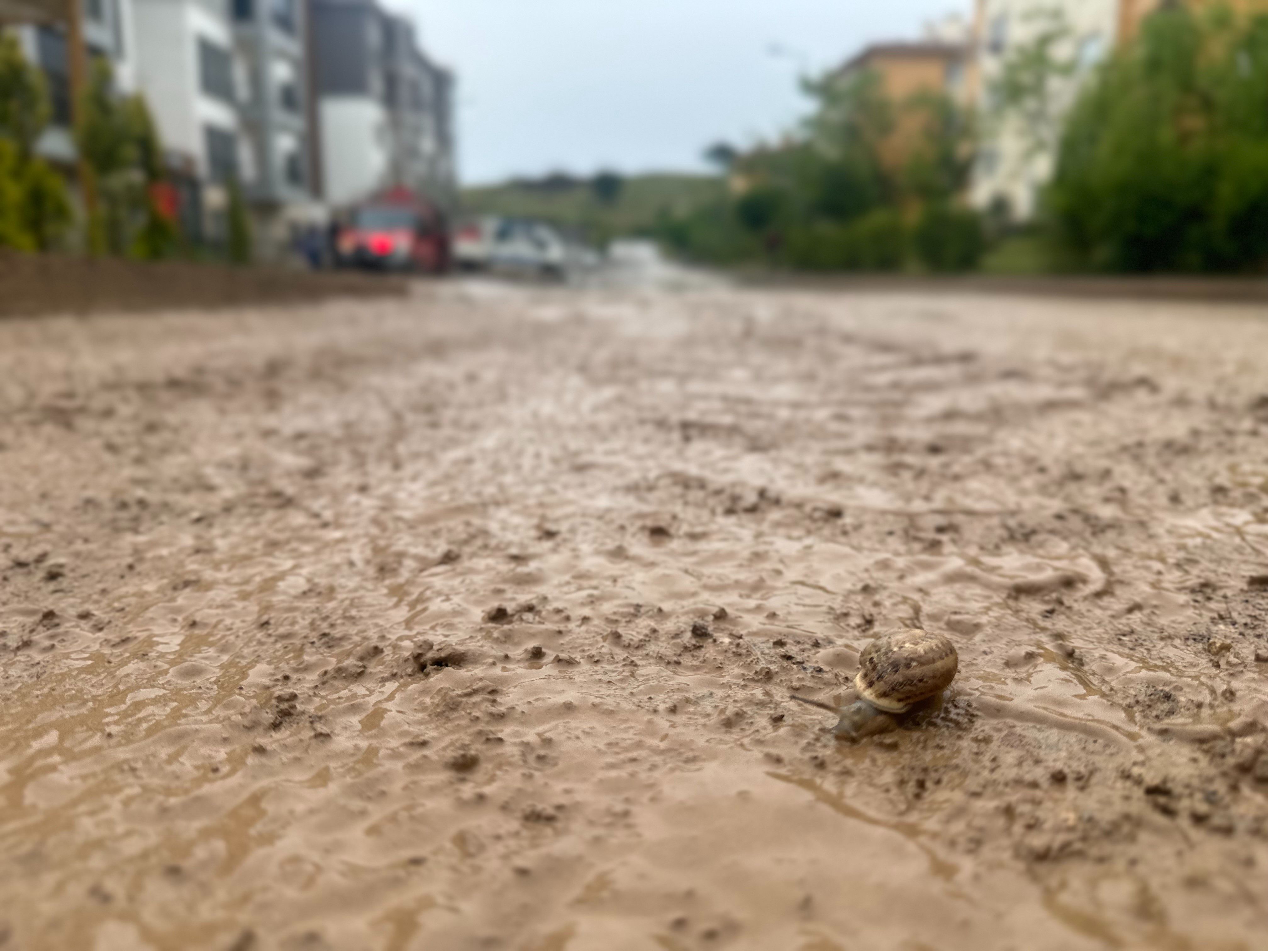 Meteoroloji uyardı, sağanak ne cadde bıraktı ne sokak Meteoroloji uyardı, sağanak ne cadde bıraktı ne sokak - 2. Resim