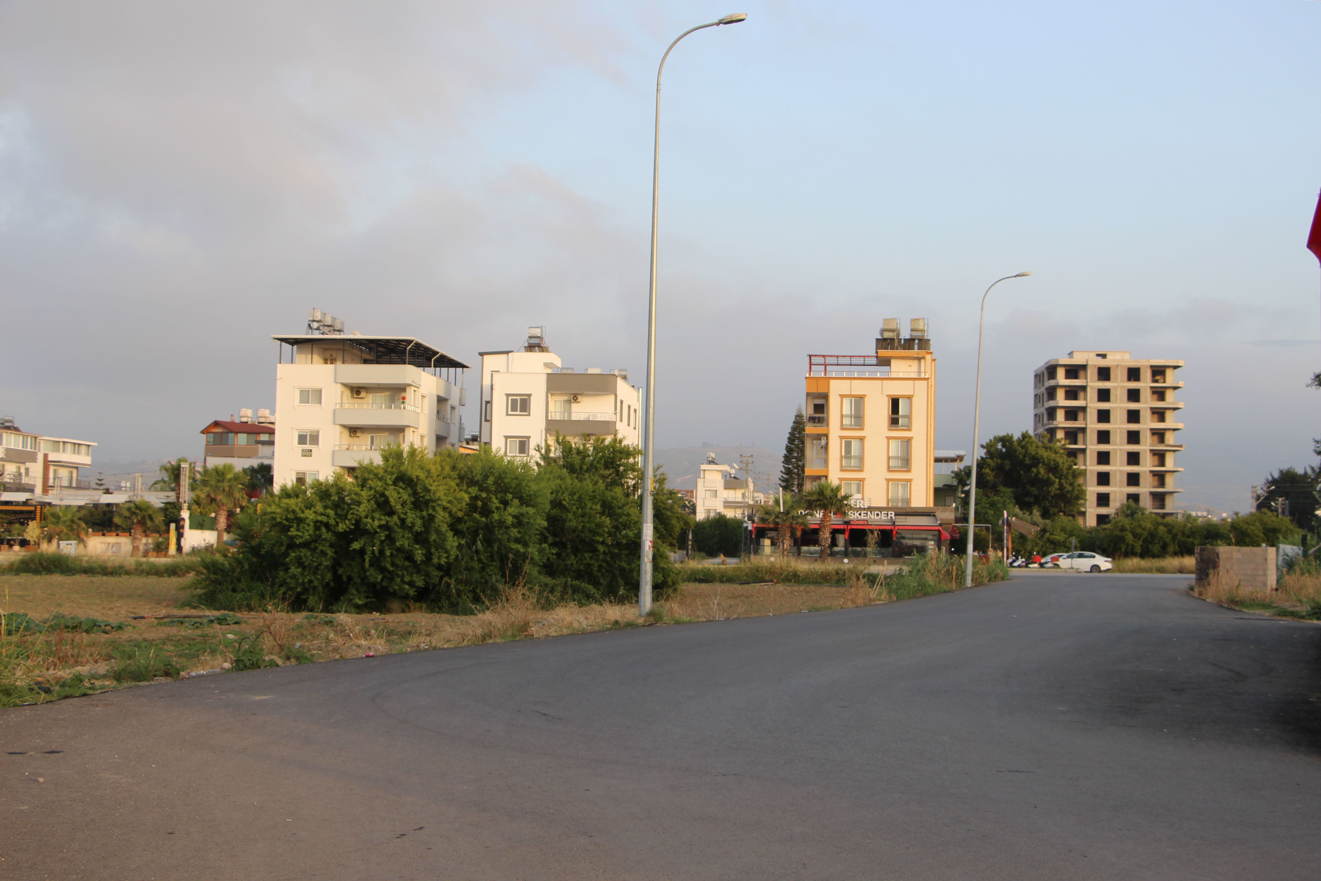 Başıboş köpek saldırısına uğrayan kadın ayağını kaybediyordu! - 1. Resim