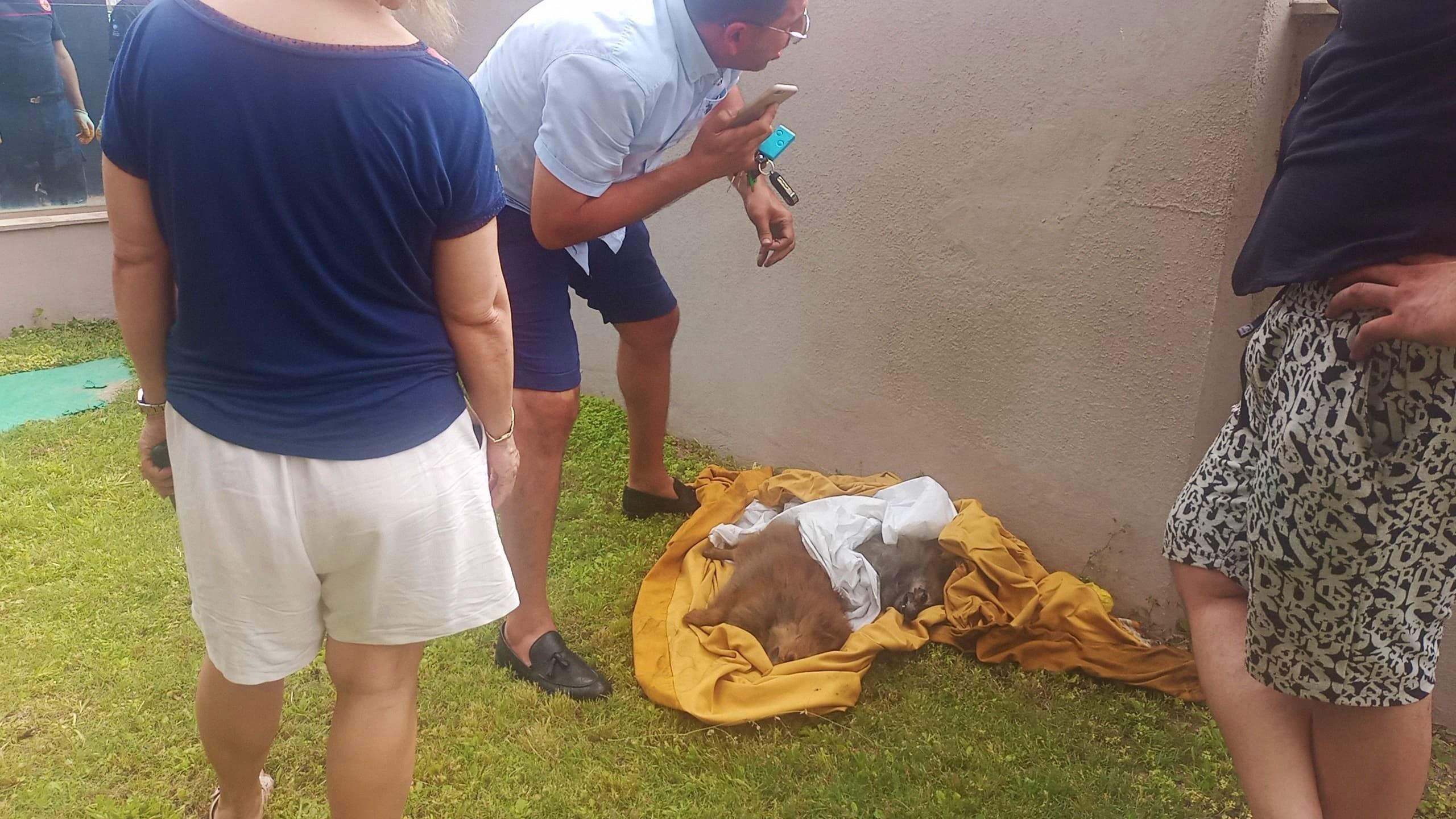 Duygulandıran vefa! Dumandan zehirlenen köpeklere kendi oksijen maskelerini taktılar - 2. Resim