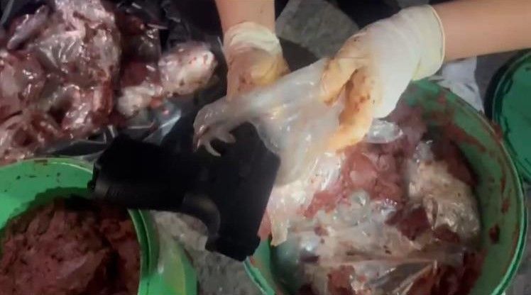 Sal&ccedil;a kovalarının i&ccedil;inden &ccedil;ıkanları g&ouml;renleri şoke etti - 1. Resim