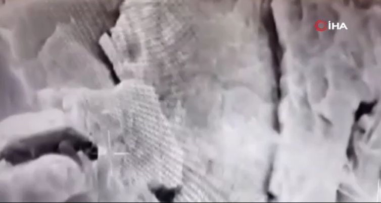 Türkiye'de daha önce böylesi hiç görülmedi...  Anadolu parsı, sırtlan ile kapıştı Türkiye'de daha önce böylesi hiç görülmedi...  Anadolu parsı, sırtlan ile kapıştı - 1. Resim