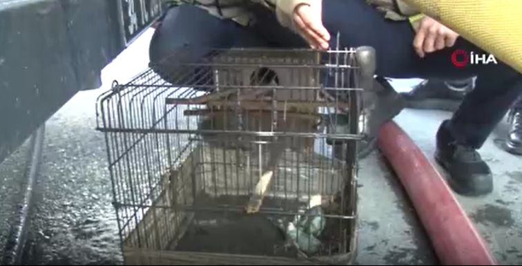 Avcılar’da mobilya atölyesinde yangın çıktı! Yabancı uyruklu 1 işçi dumandan etkilendi Avcılar’da mobilya atölyesinde yangın çıktı! Yabancı uyruklu 1 işçi dumandan etkilendi - 3. Resim