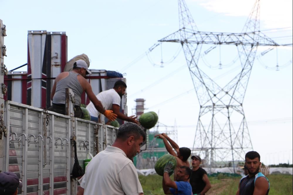 Erkenci karpuz Hatay'daki depremzede çiftçinin yüzünü güldürdü! Karpuz fiyatları üreticiyi memnun etti - 3. Resim