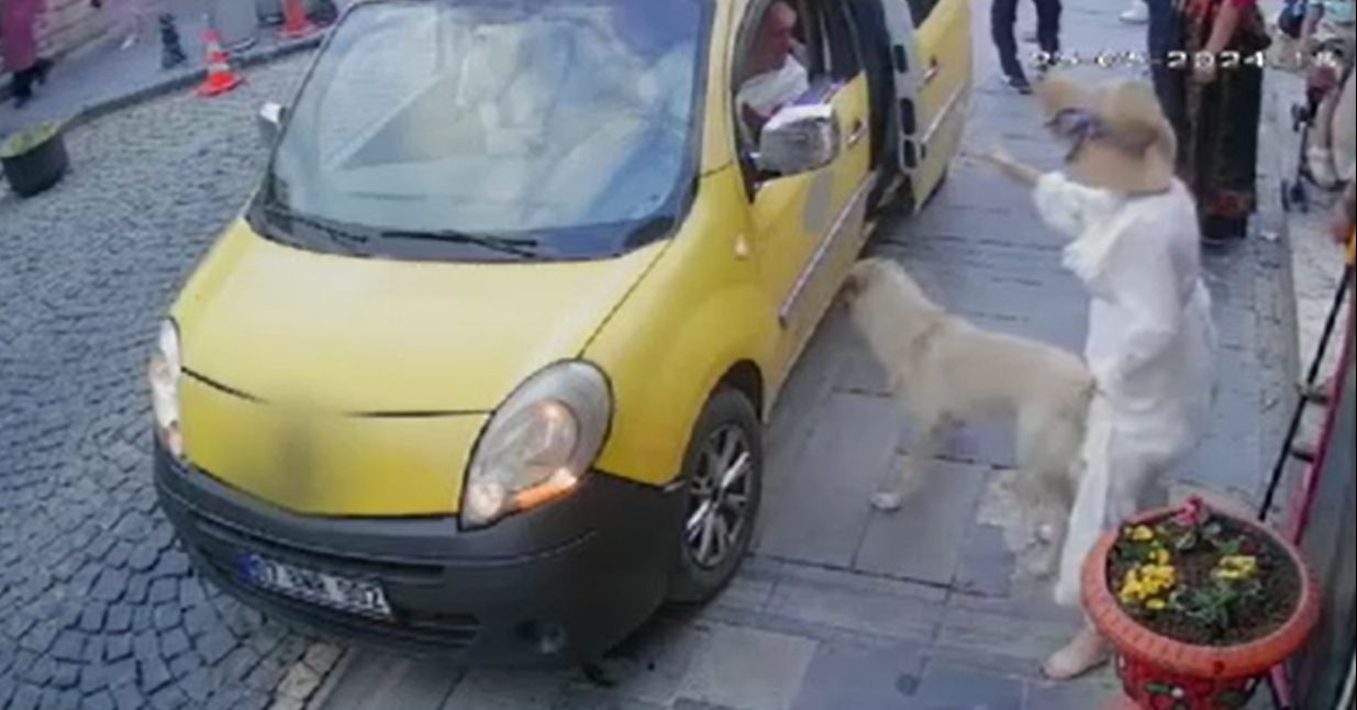 Mardin'de vahşet kameralarda! Kaldırımda yatan köpeği ezdi Mardin'de vahşet kameralarda! Kaldırımda yatan köpeği ezdi - 1. Resim