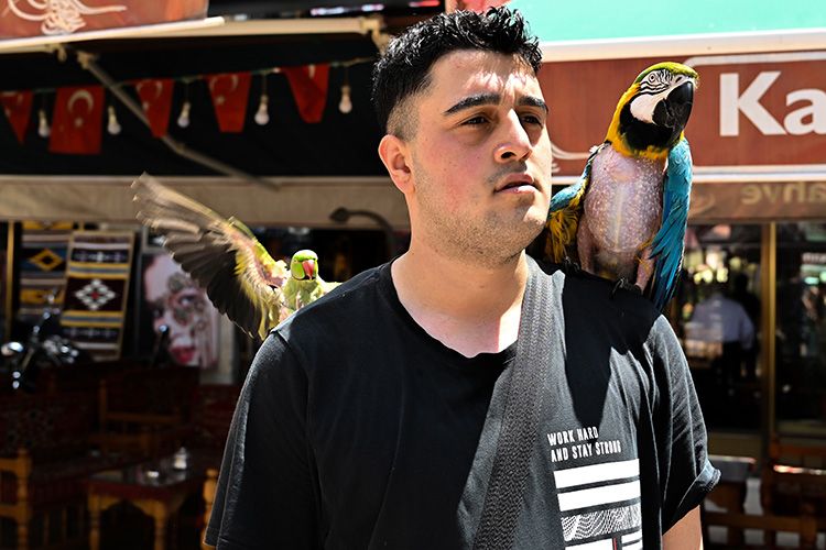 Papağanlar turistlerin gözdesi oldu: Ayrılmaz ikili Simbat ve Cabbar Papağanlar  turistlerin gözdesi oldu: Ayrılmaz ikili Simbat ve Cabbar - 1. Resim