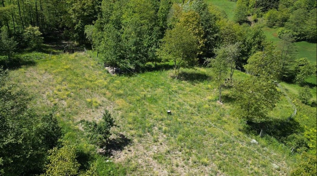 Altını dövizi bırakın, herkes onu alıyor! Kilosu 1500 TL'den satılıyor Altını dövizi bırakın, herkes onu alıyor! Kilosu 1500 TL'den satılıyor - 2. Resim