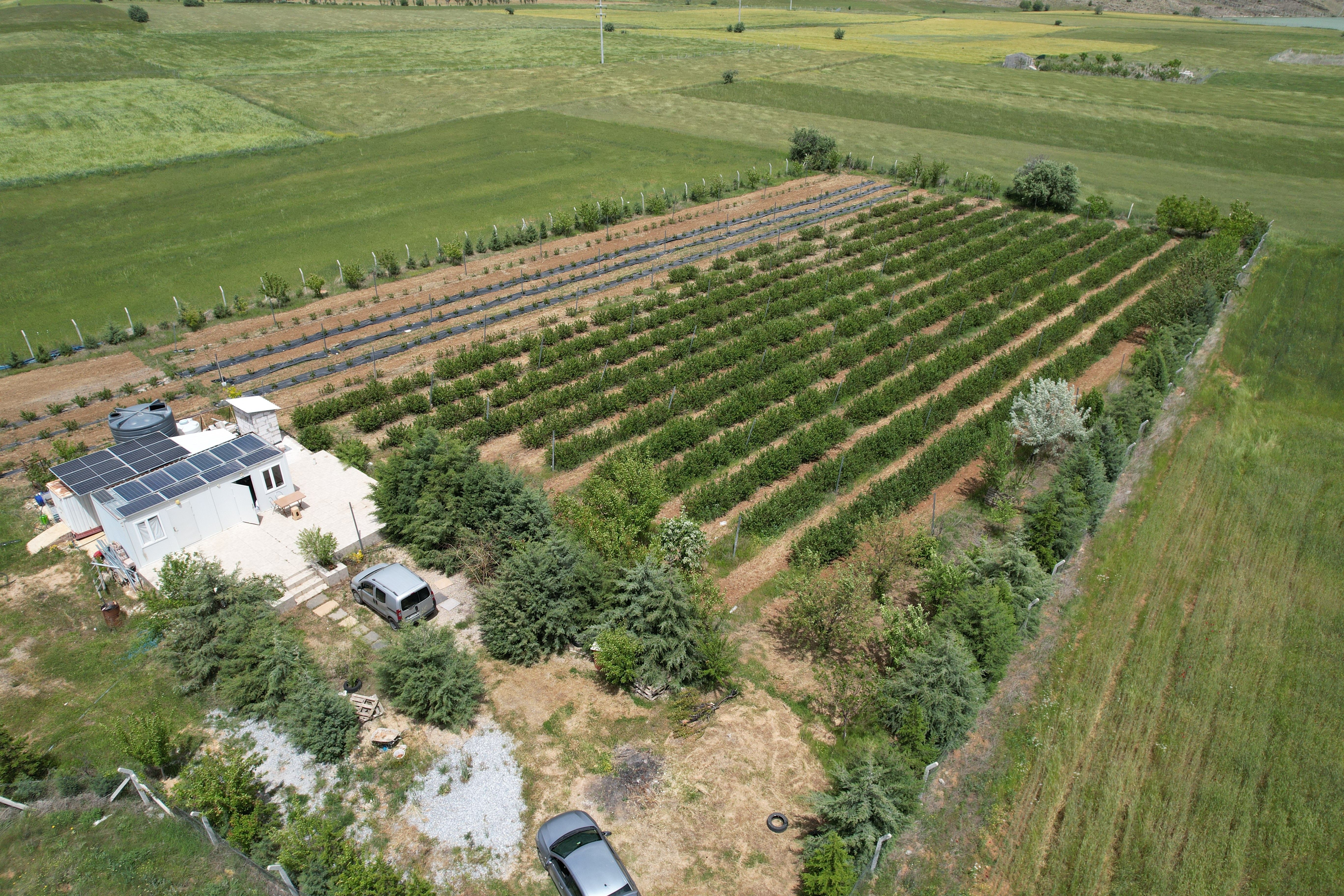 Kanser olan eşinin tedavi yöntemi hayatını değiştirdi! İş sahibi oldu, kilosunu 750 TL'den satıyor - 4. Resim