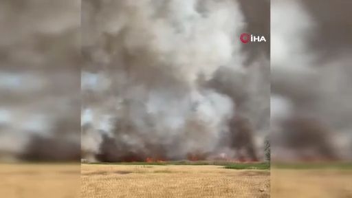 Antalya'da kül eden yangın! 250 dekarlık ekili araziden eser kalmadı - 1. Resim