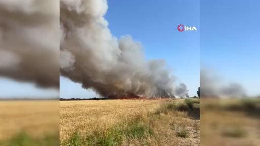 Antalya'da kül eden yangın! 250 dekarlık ekili araziden eser kalmadı - 2. Resim