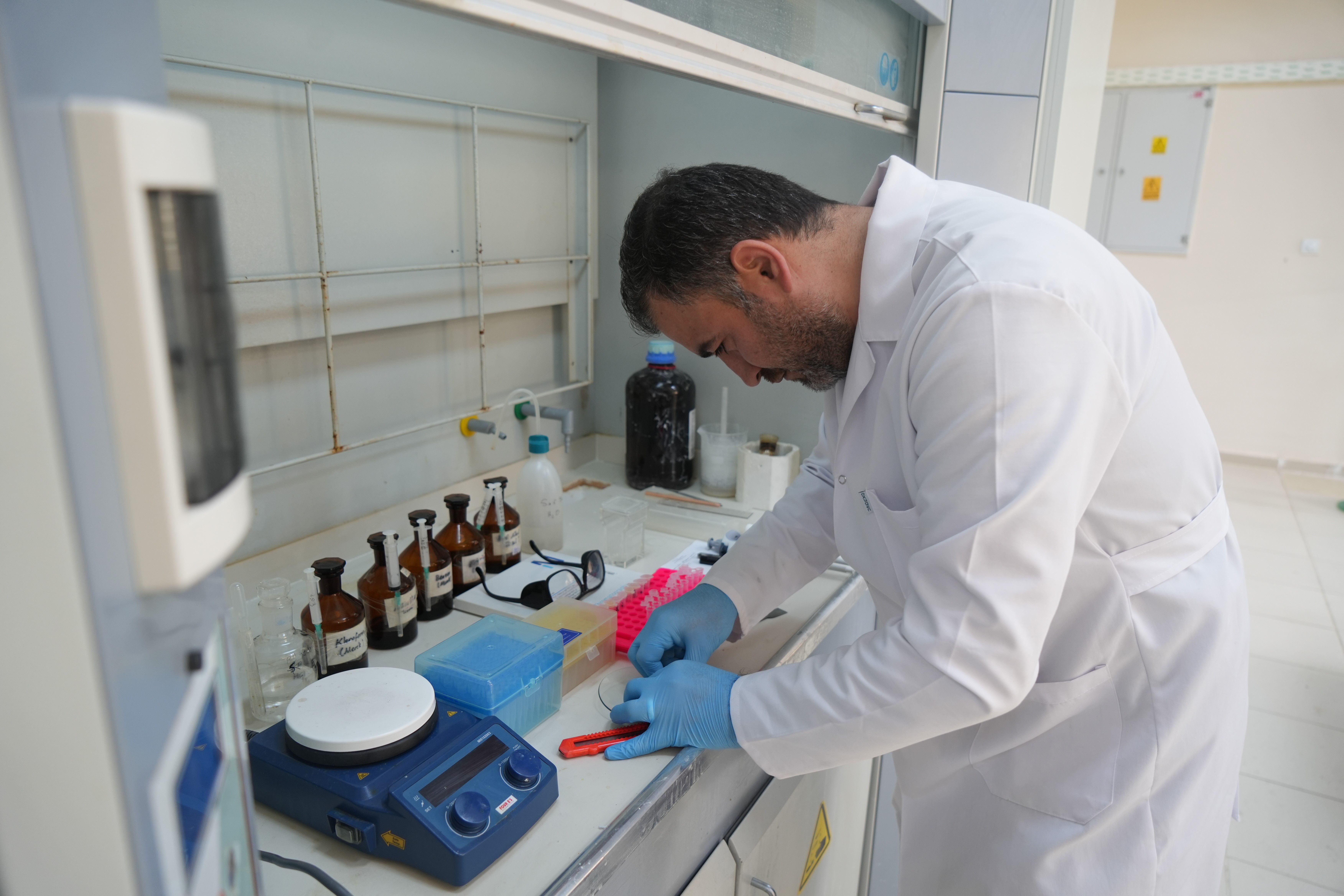 Dolu ile birlikte yağan o cismin gizemi! Uzmanlar neye uğradığını şaşırdı Dolu ile birlikte yağan o cismin gizemi! Uzmanlar neye uğradığını şaşırdı - 1. Resim