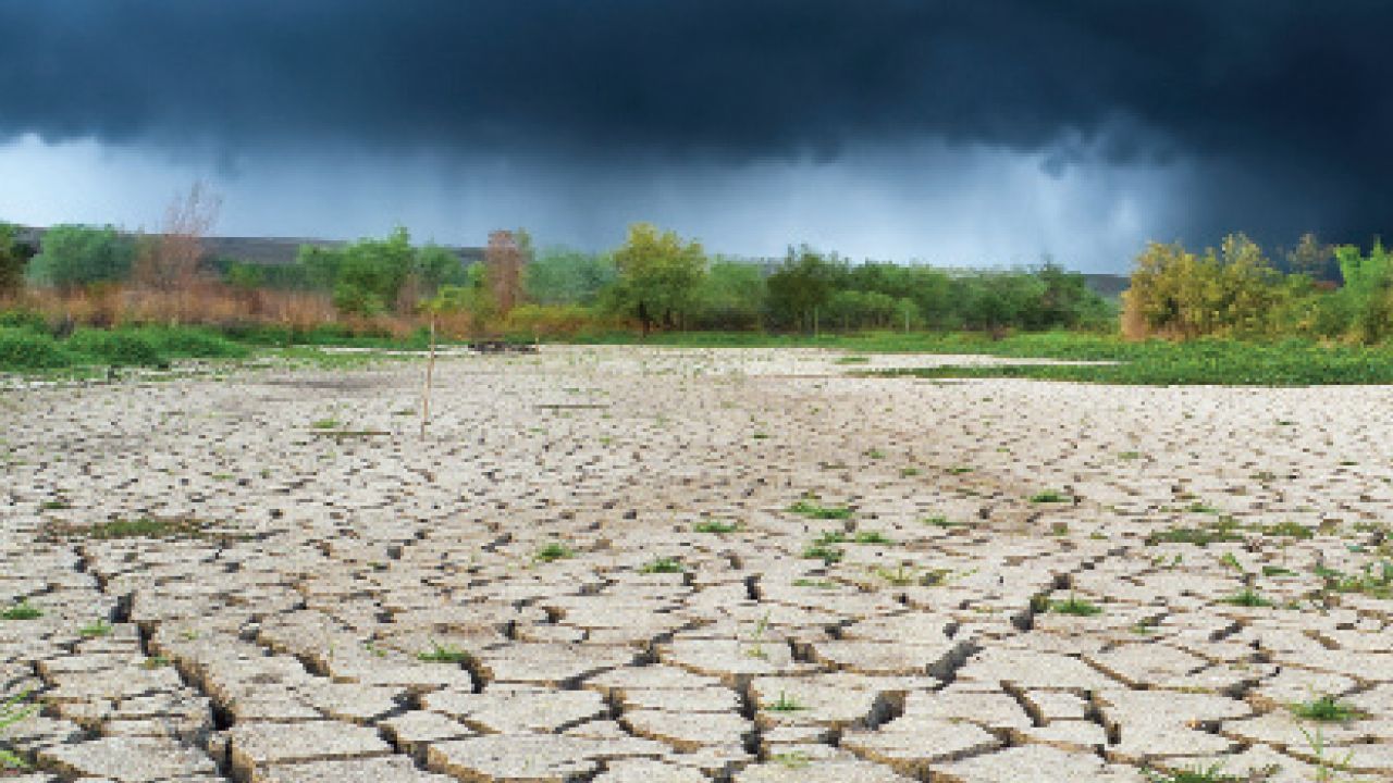 El nino bitti, La Nina kavuracak! Sıcaklık rekoru kırılacak El nino bitti, La Nina kavuracak! Sıcaklık rekoru kırılacak - 4. Resim