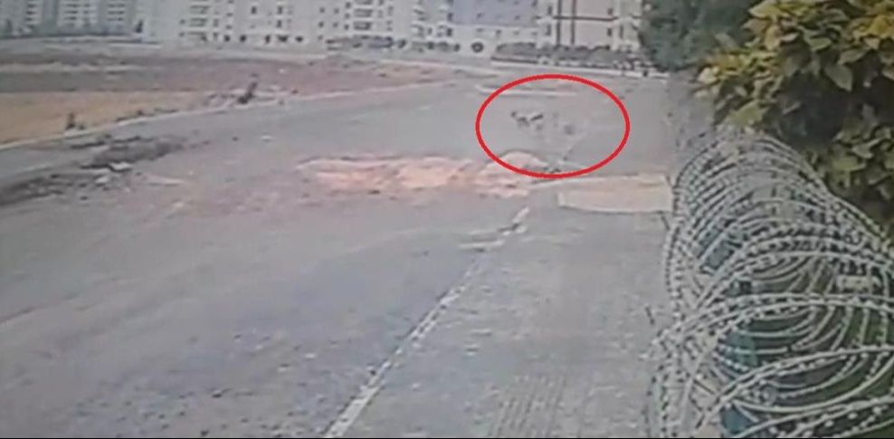 5 sene önce 8 köpeğin saldırısına uğrayan Yasin Alökmen'in acısı dinmiyor - 2. Resim